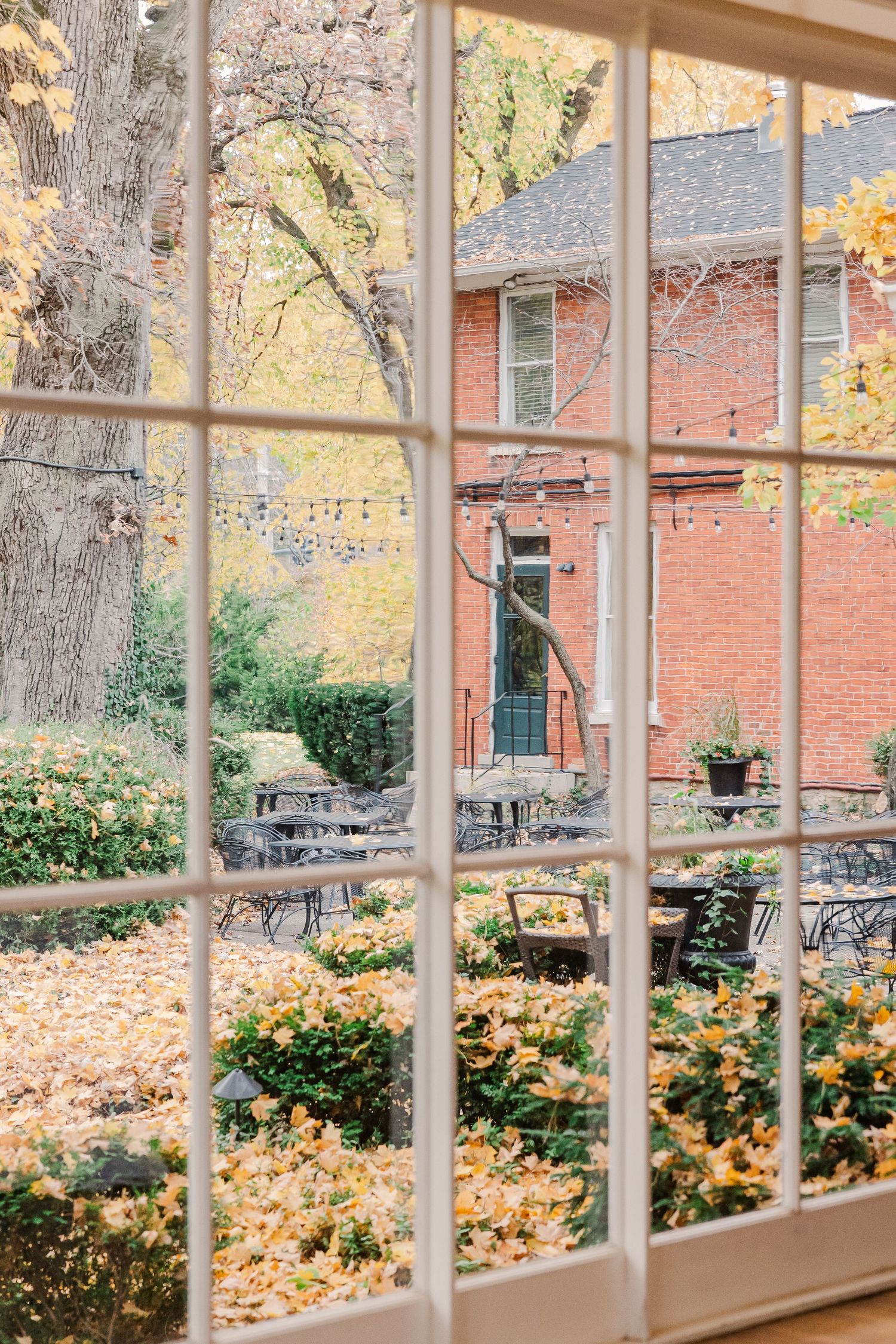 Autumn view through windowpanes showing brick building and fallen leaves in garden.