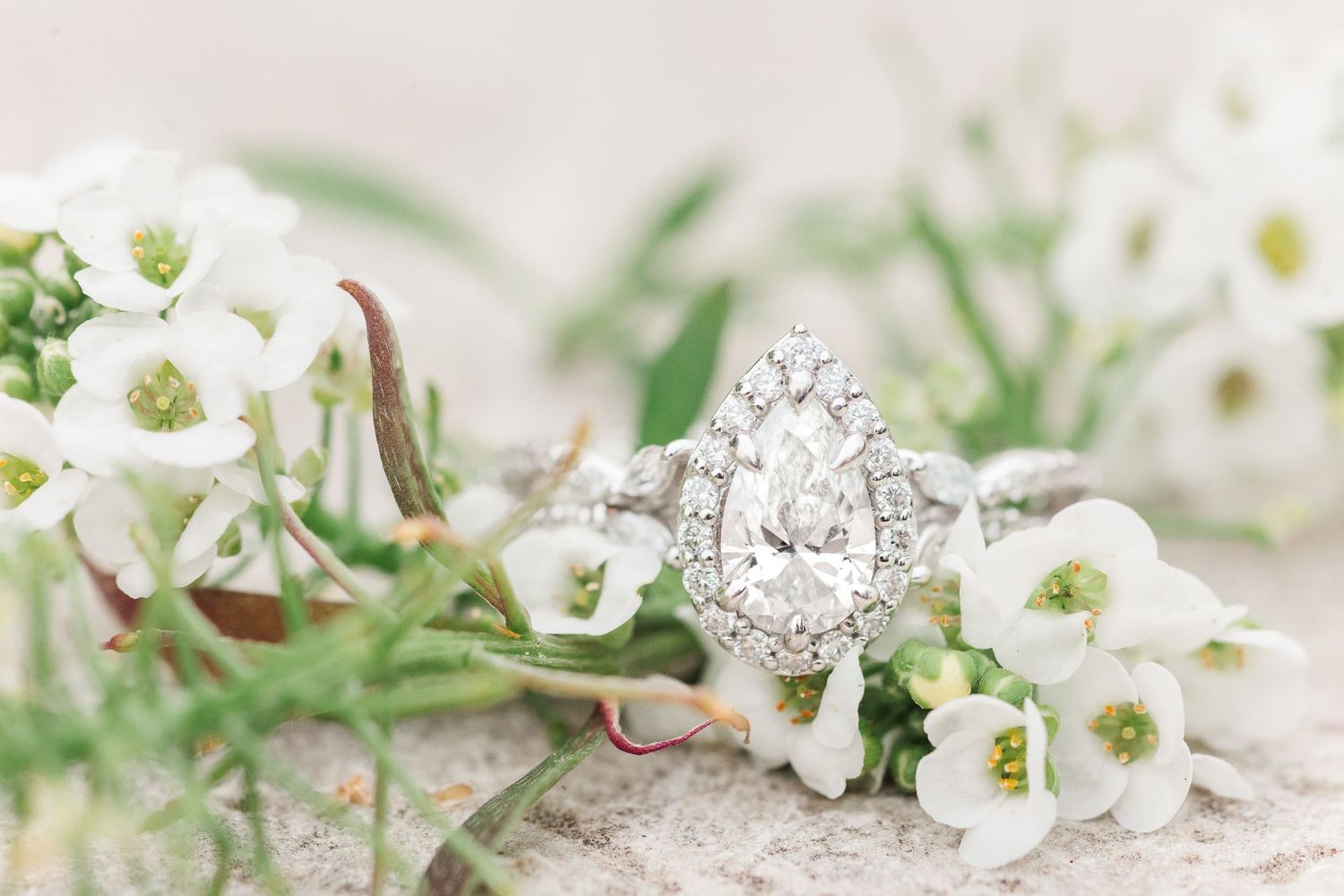 Cantigny Park Spring Engagement Session