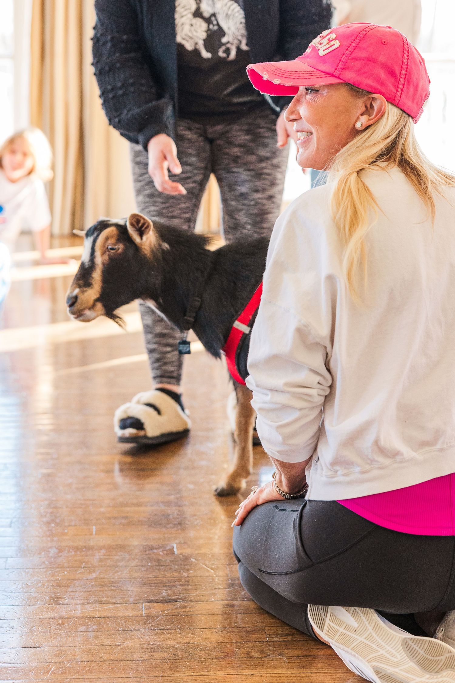A Nigerian Dwarf goat in a red harness stands next to participants during an indoor session.
