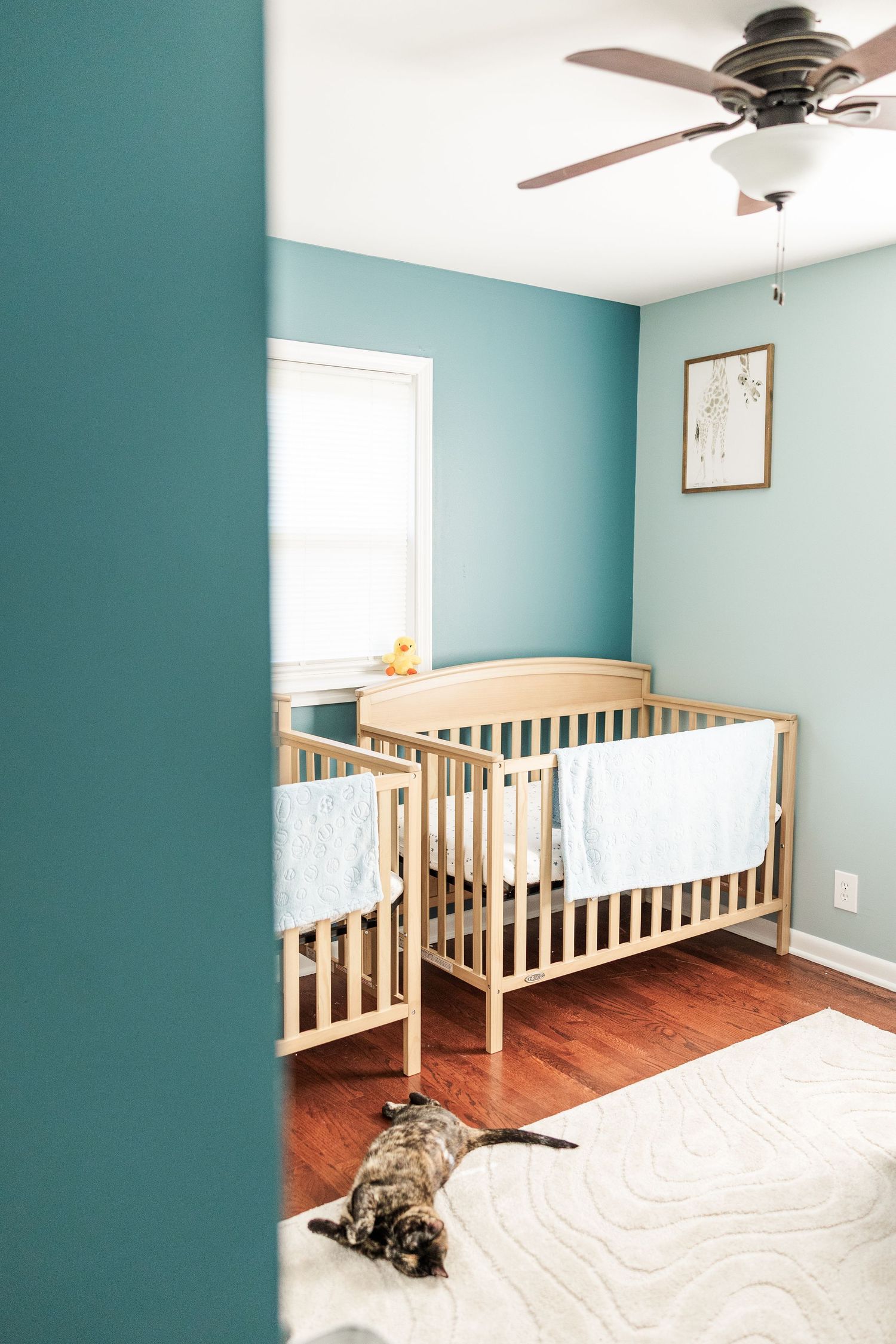 Twin cribs in a colorful nursery during an in-home maternity session in Crystal Lake, Illinois.