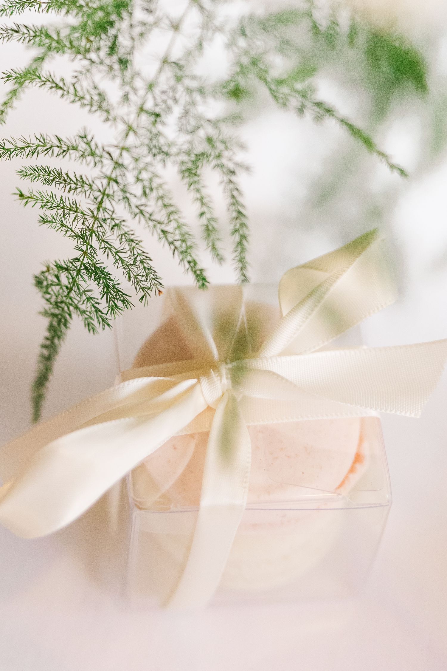 Elegant gift box wrapped in cream ribbon with delicate fern leaves against a soft white background.