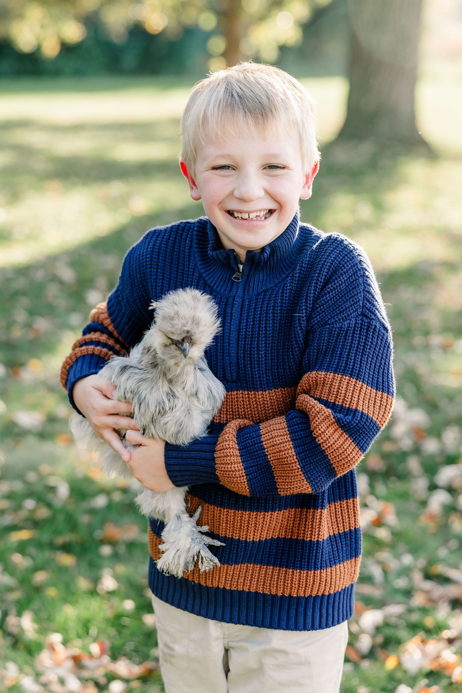 A smiling blond boy in a navy and orange striped sweater holds a fluffy gray silkie chicken while standing on a sunlit grassy lawn.
