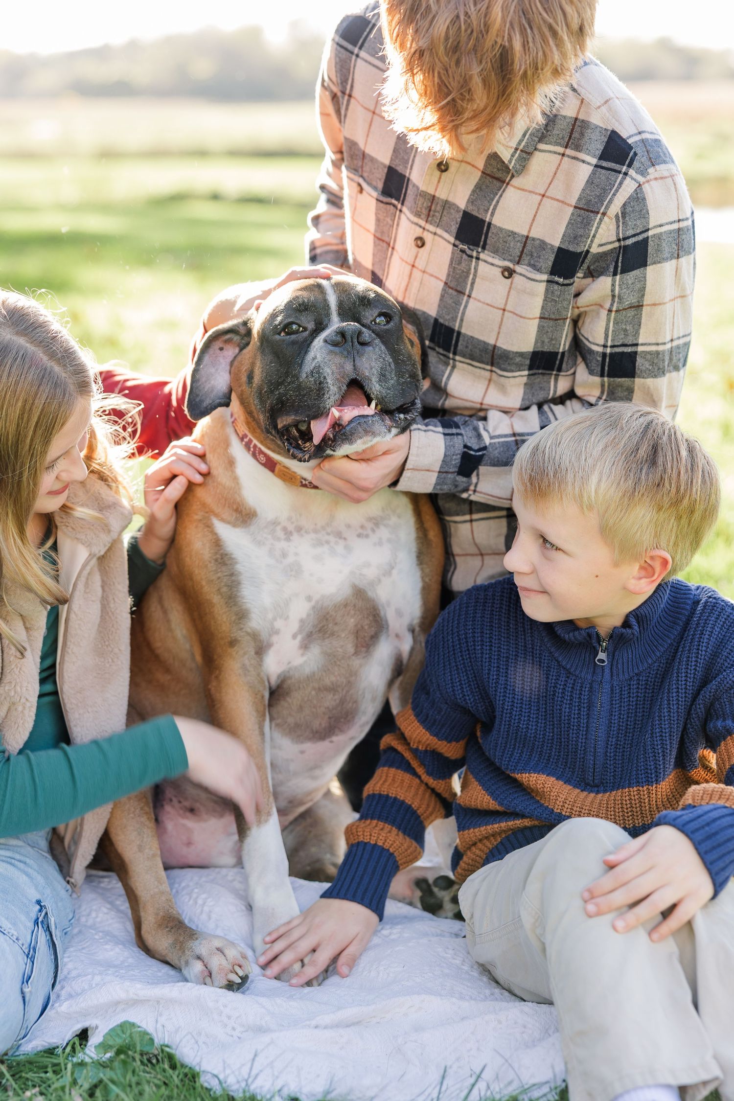 Two children and an adult sit on a blanket in a grassy field, petting a smiling boxer dog during a family photo session.