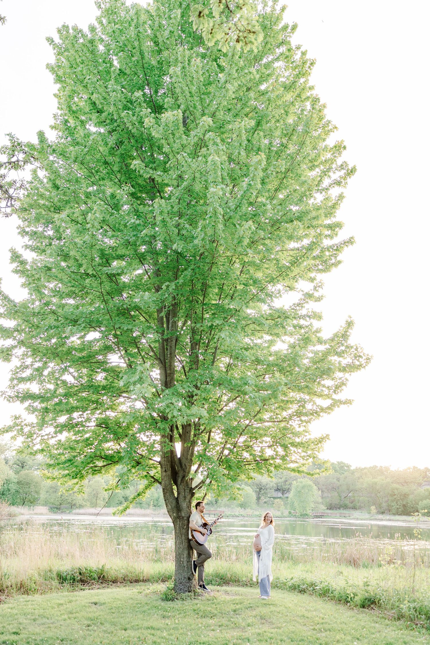 Wide maternity portrait under a large tree at Veterans Acres Nature Preserve in Crystal Lake.
