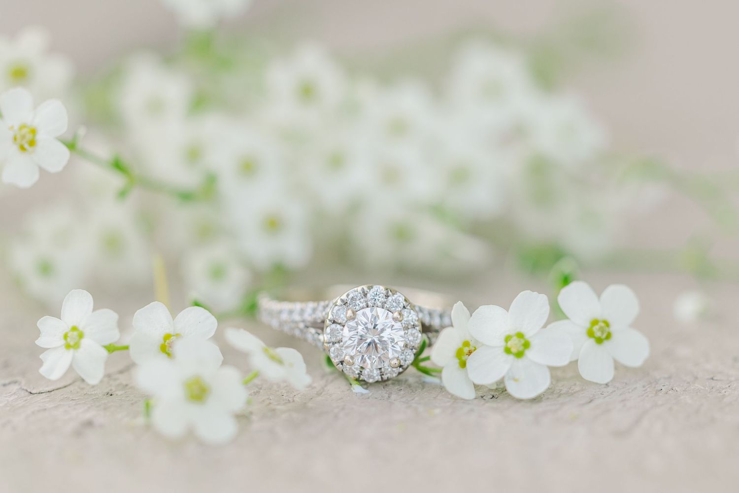 Close up of Elizabeth's engagement ring in delicate white flowers