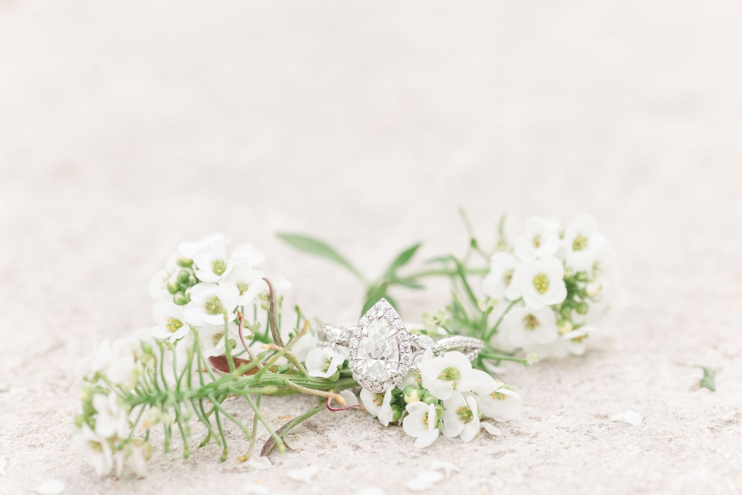 Cantigny Park Spring Engagement Session