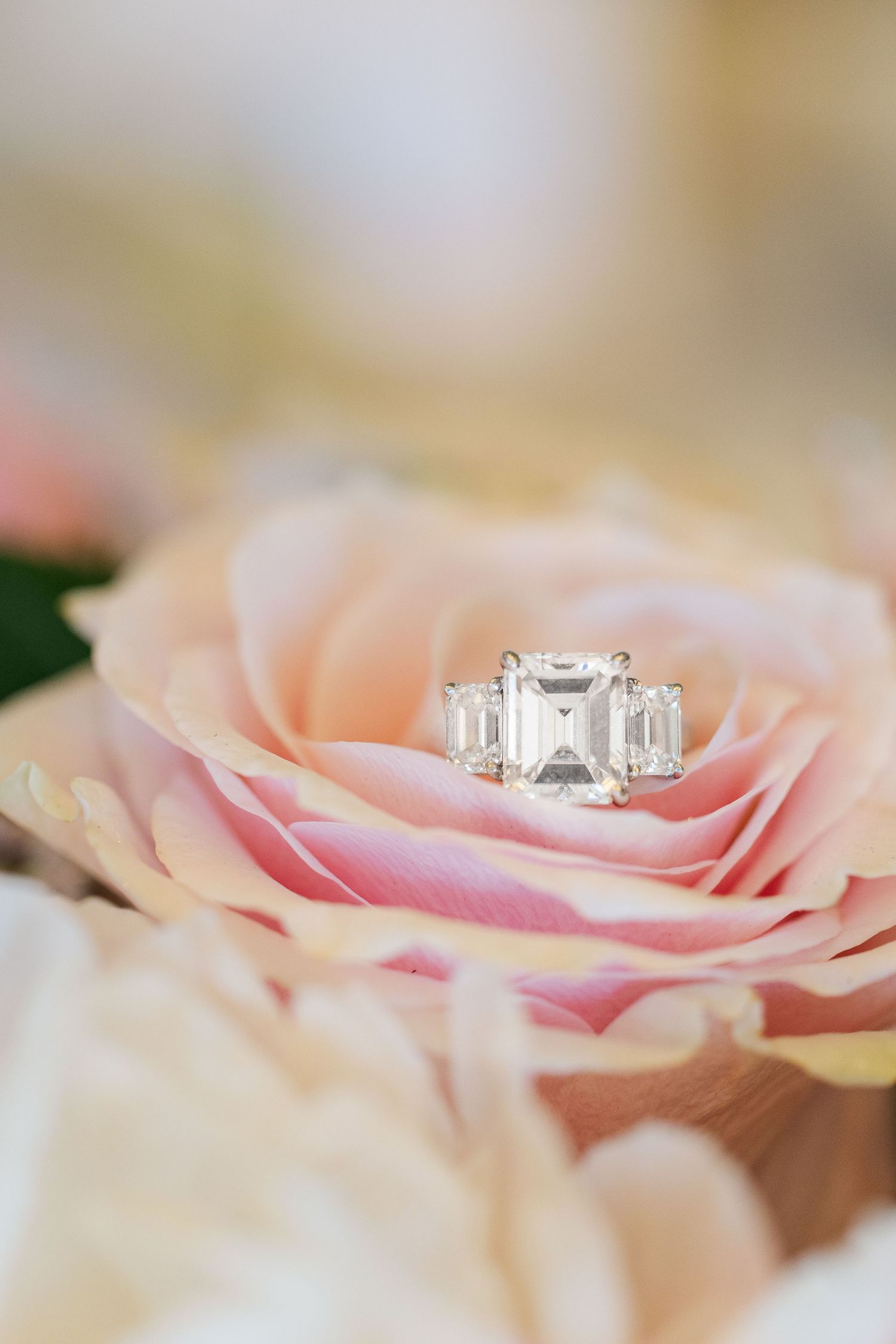 A Stunning Bridal Shower At The Concorde Banquets in Deer Park