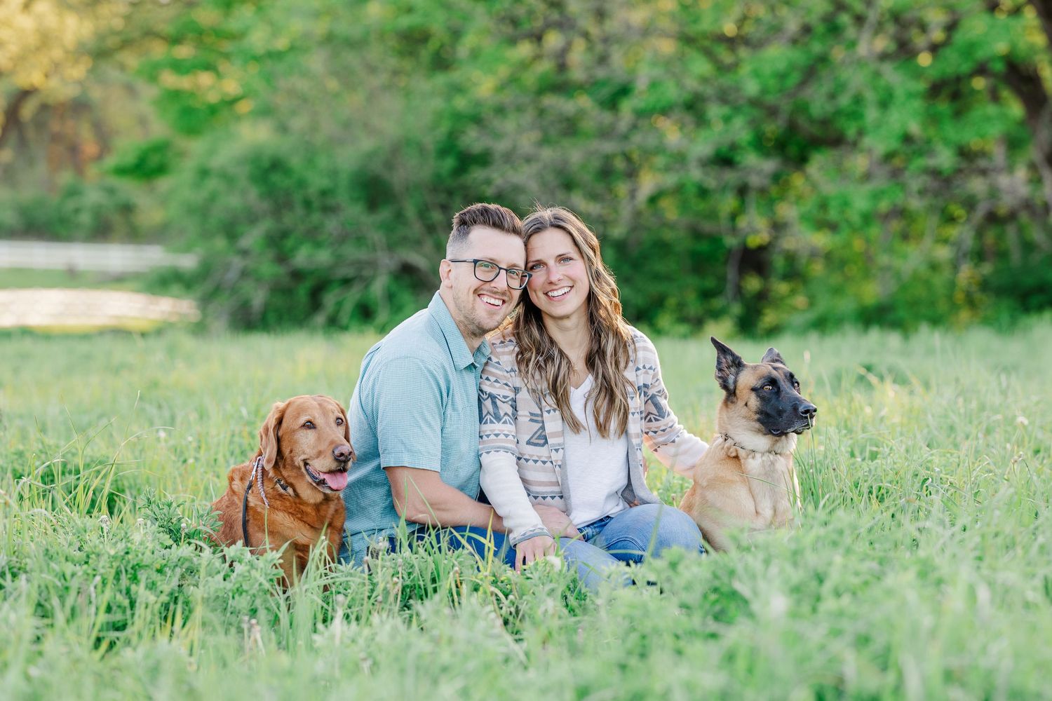 Engagement session with dogs in the grass at St. James Farm Preserve in Warrenville