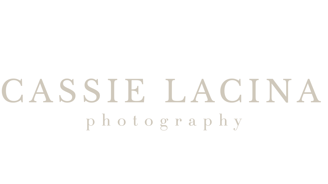Elegant photography business logo in light beige text with minimalist serif typography.