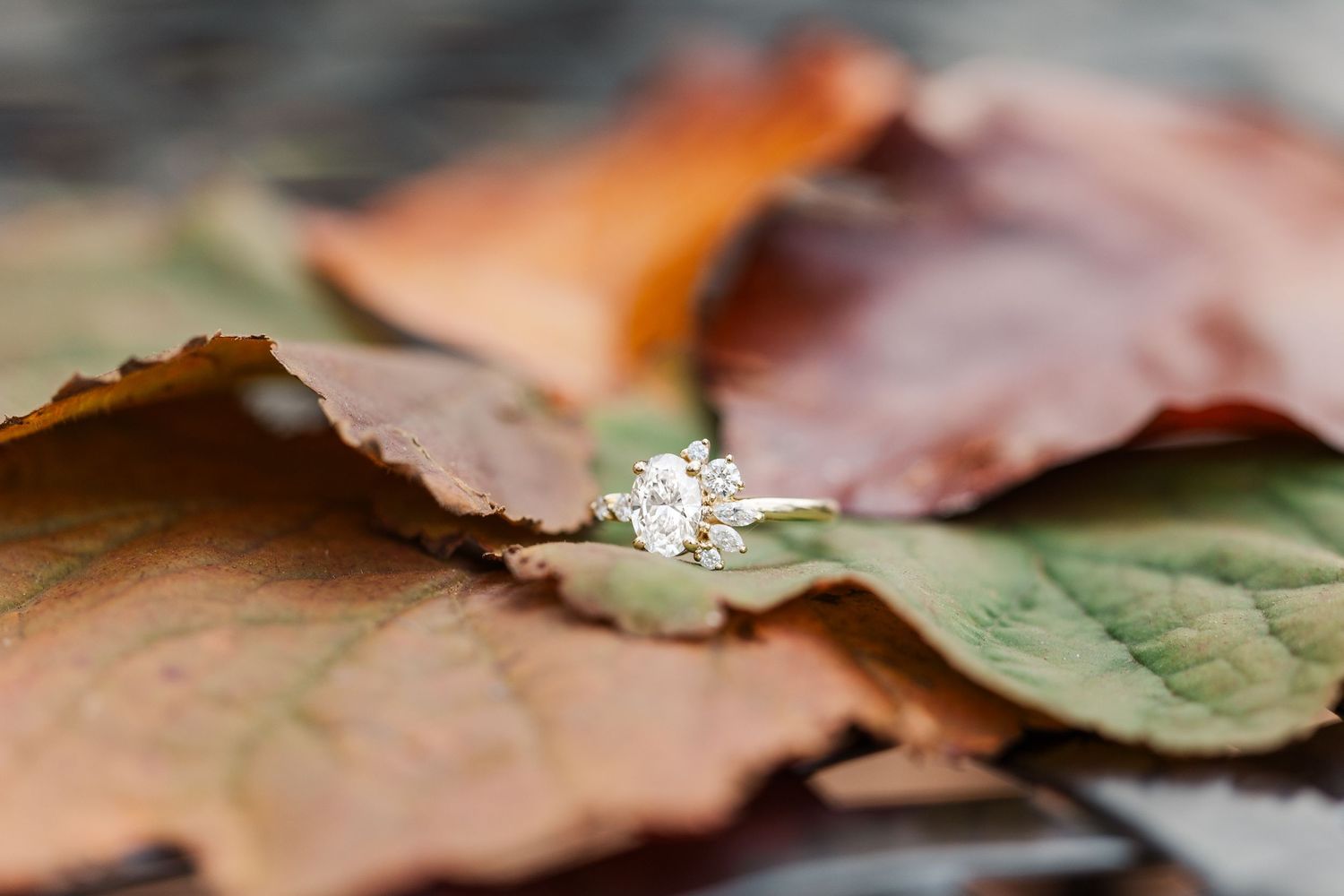 Engagement ring on fall leaves at Cantigny Park in Wheaton, IL