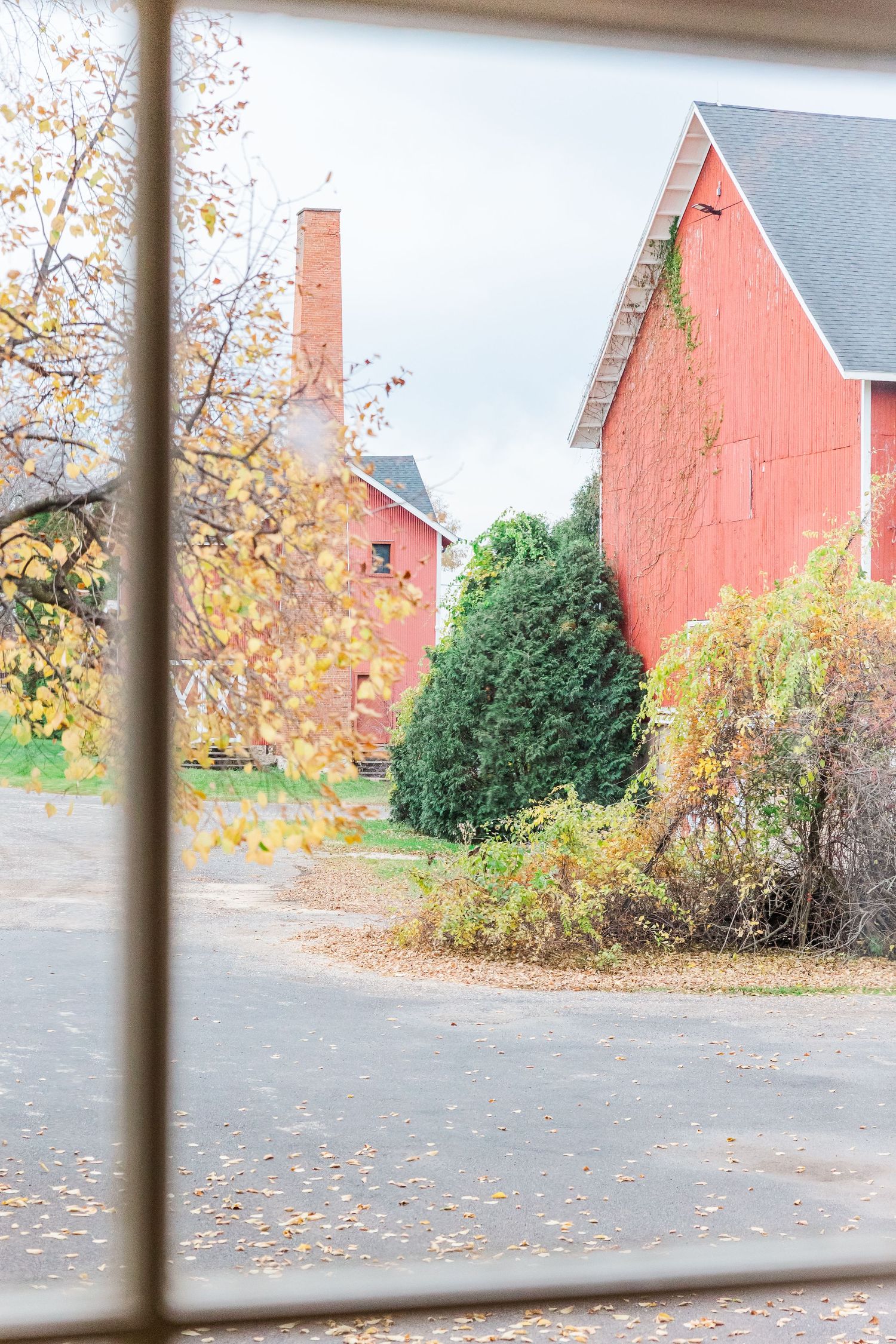 View through window of red barns and autumn trees on farm property.
