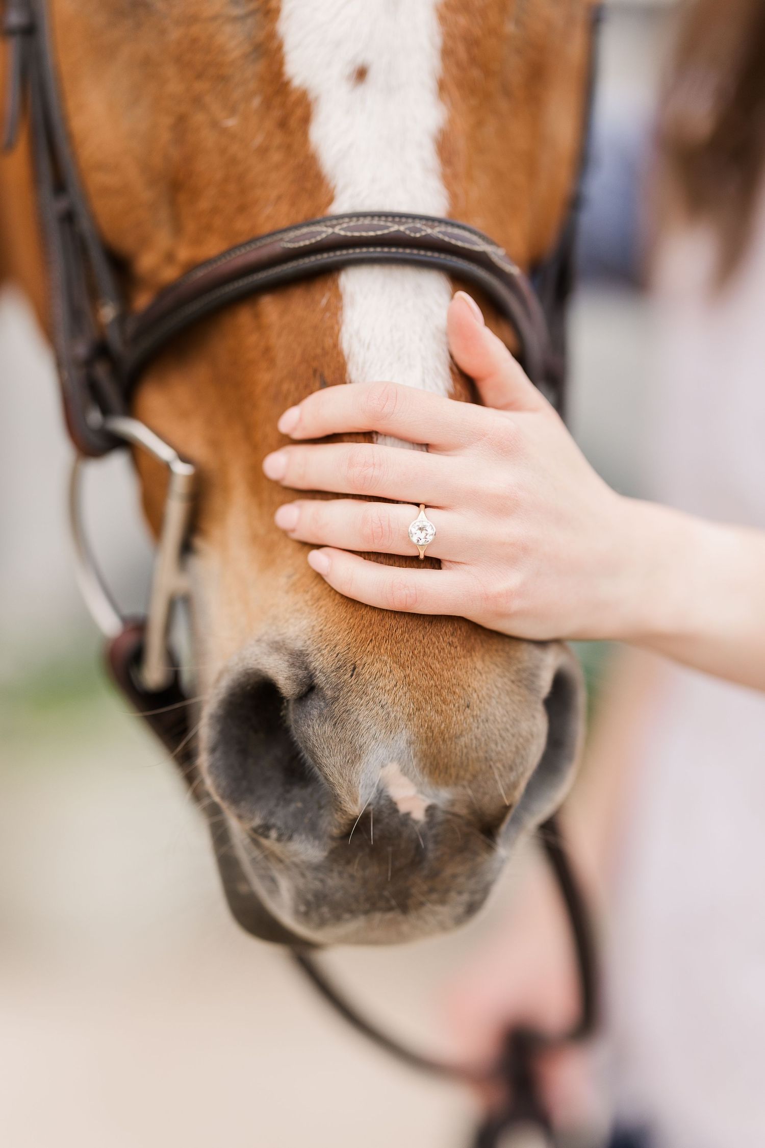 Hand with engagement ring gently touches horse's white-striped face with leather bridle.