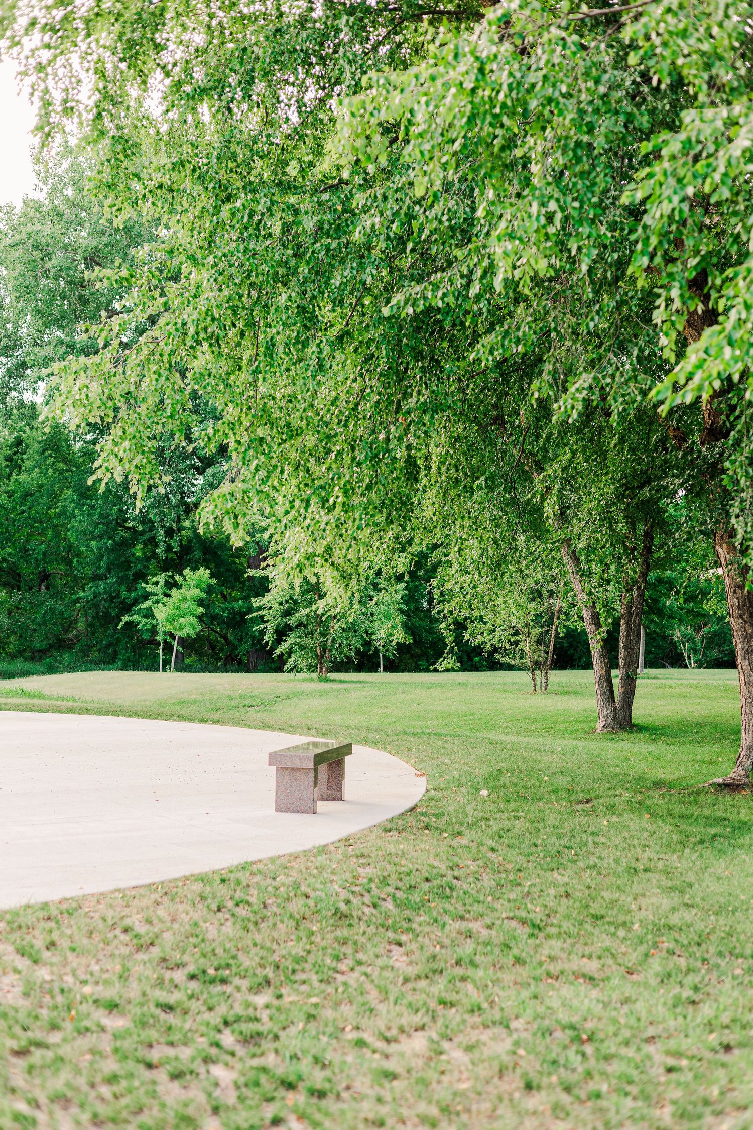 Peaceful park setting with curved pathway and bench under leafy green trees.