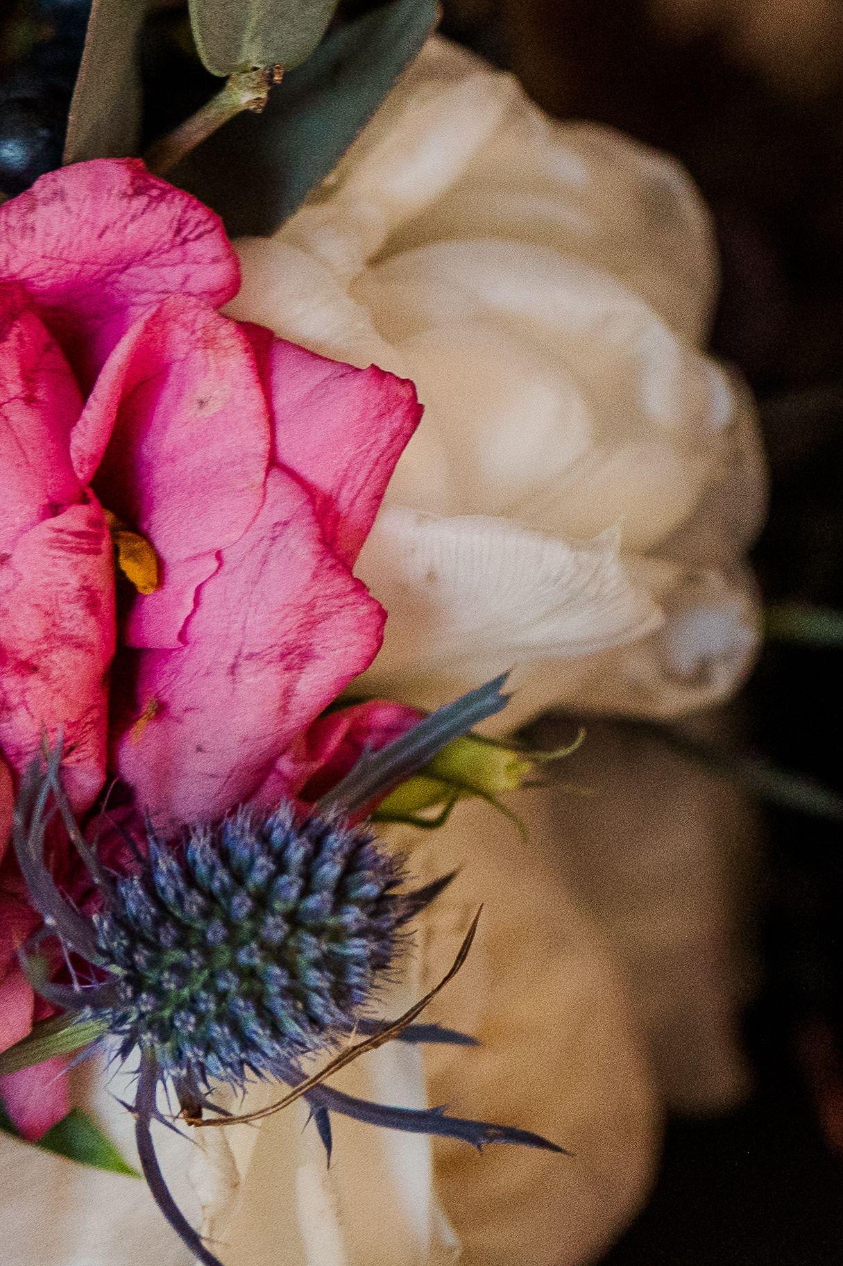 Close-up of pink flowers and blue thistle against soft white petals in a floral arrangement.