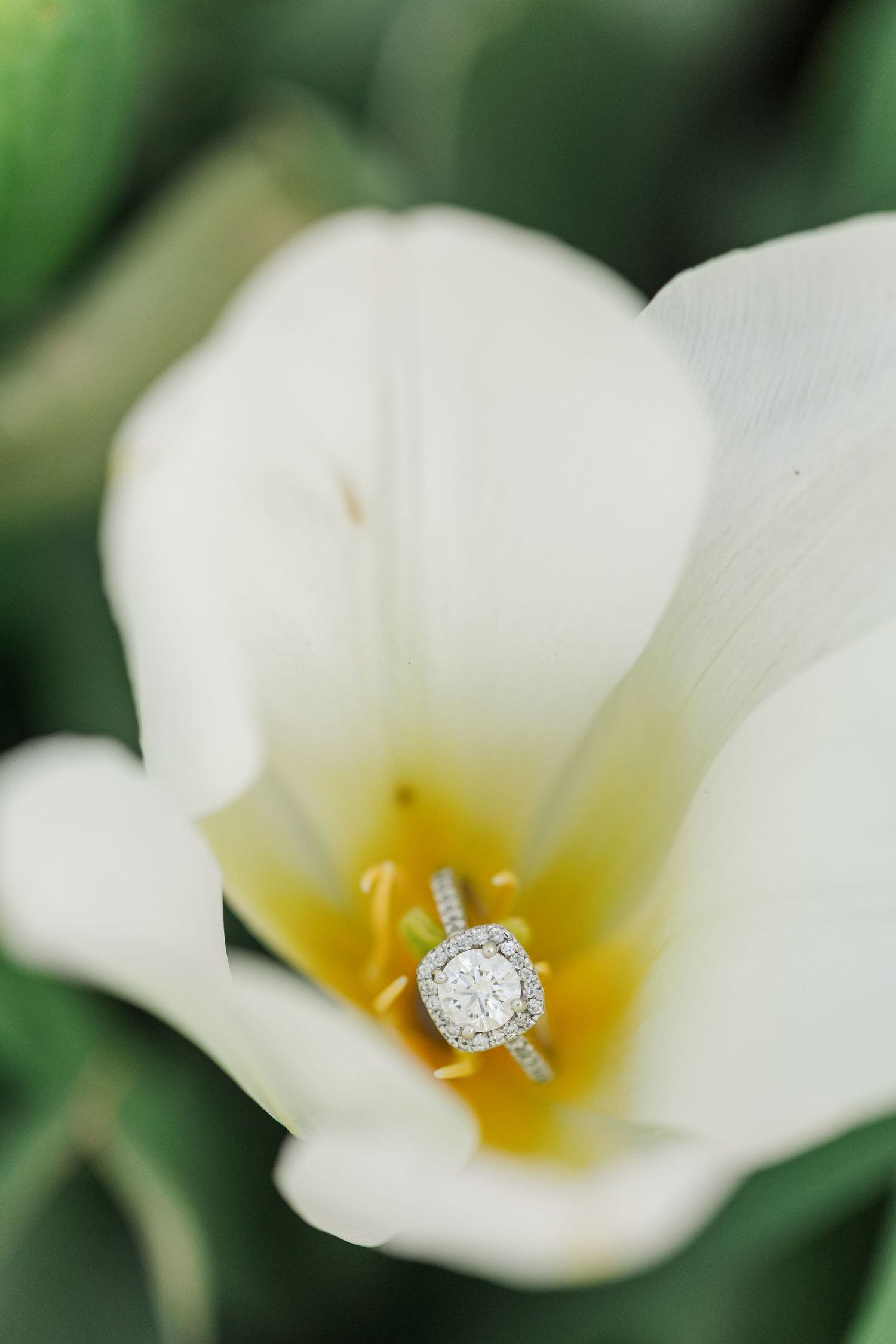 Spring Engagement Portrait Session at Cantigny Park in Winfield, Illinois