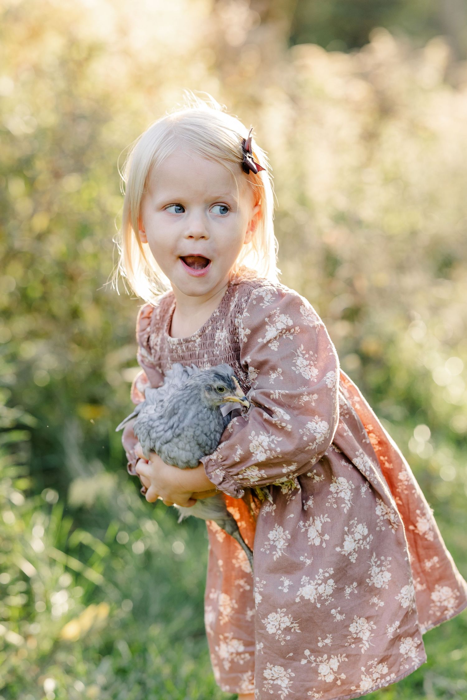 Young girl in a floral dress holding a chicken during backyard portraits in St. Charles, IL.