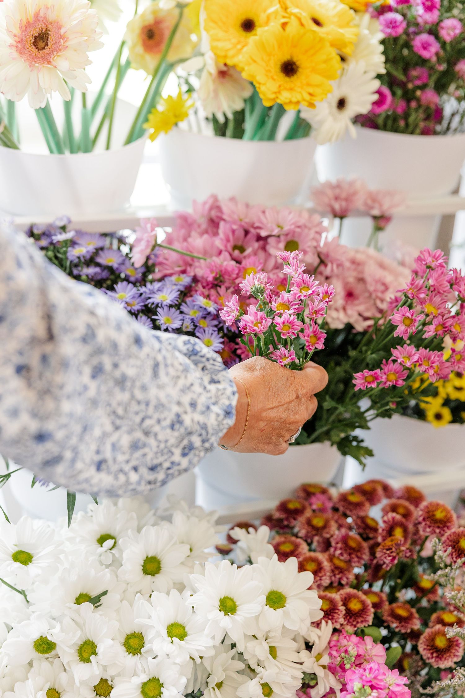 Florist hand selecting pink flowers from a display of colorful spring blooms in white containers.