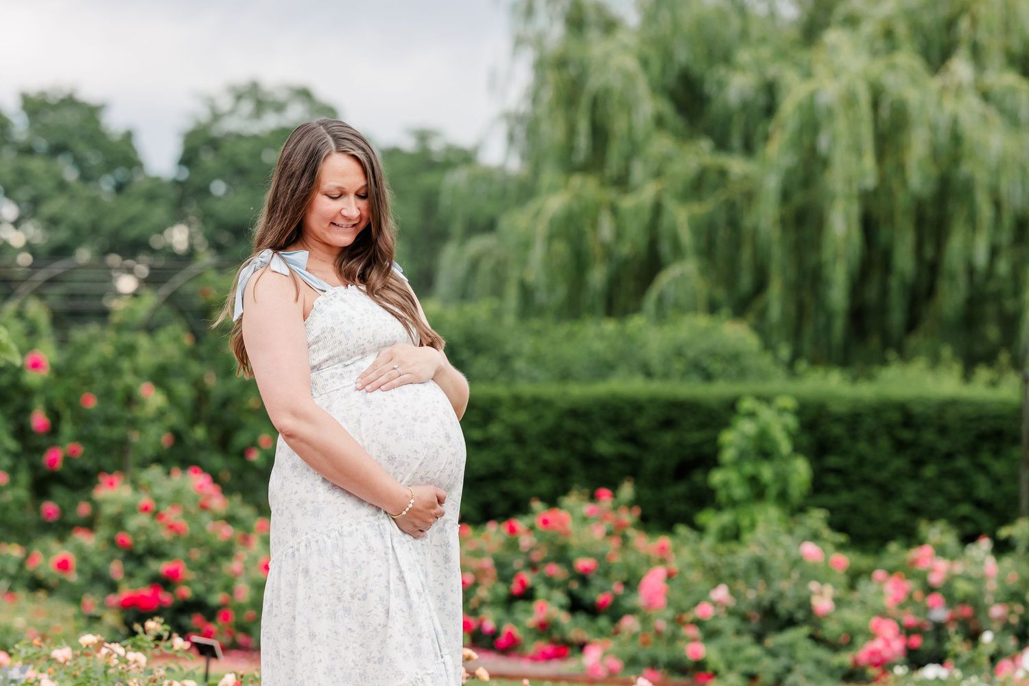 Expecting mother posing in the rose garden during a summer maternity session in Wheaton