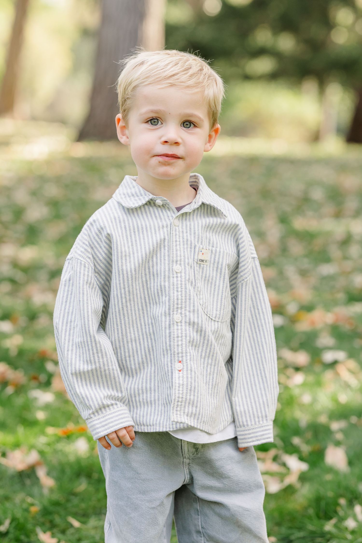 Cute blonde toddler boy in striped button-up shirt standing in a sunlit autumn park.