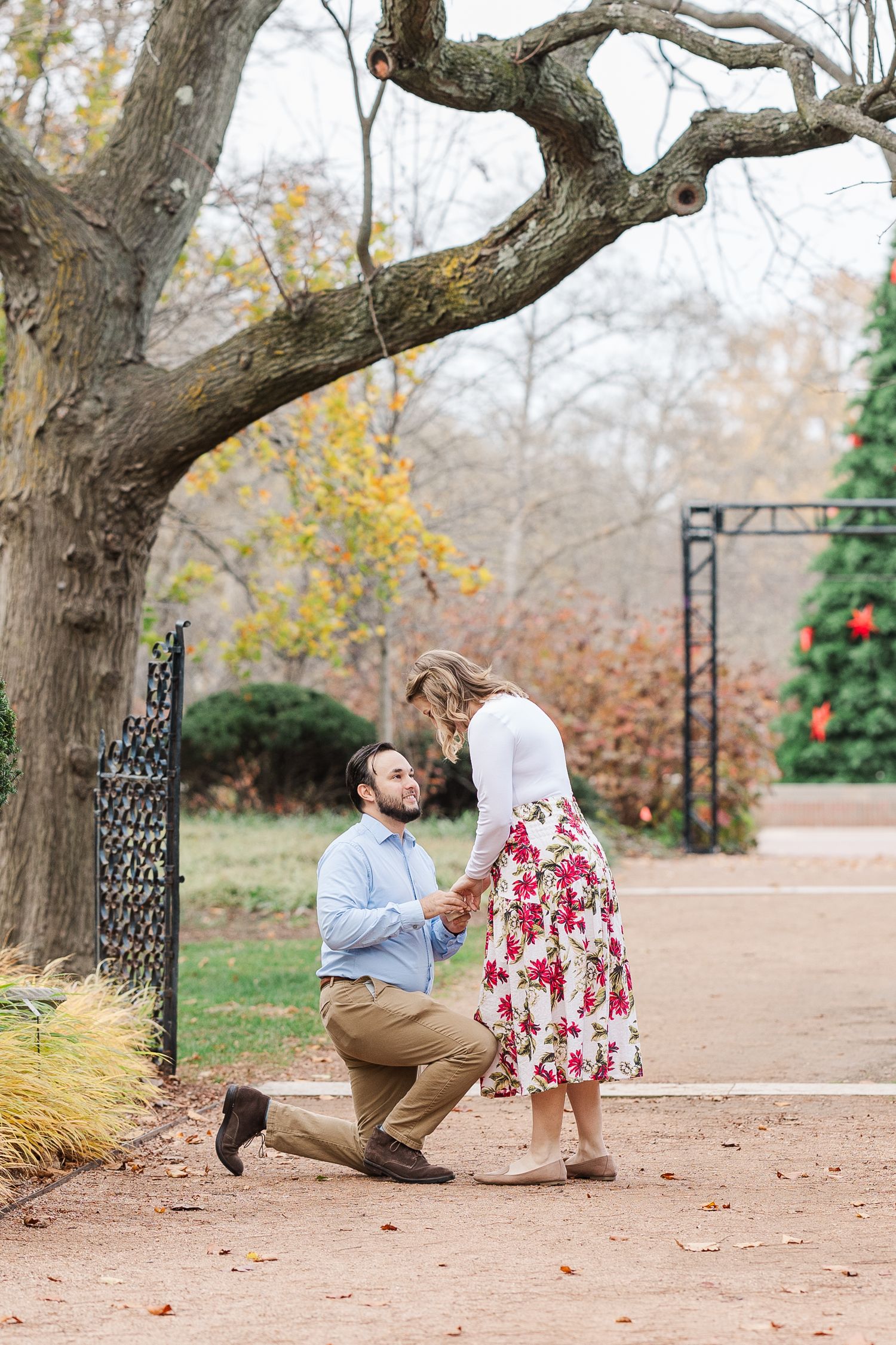 Man proposes to woman in the Keyhole Garden at Cantigny Park in Wheaton, IL