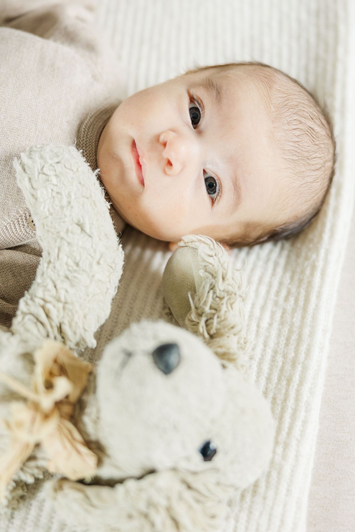 Close-up of a newborn baby lying on a bed next to a stuffed animal during an in-home lifestyle newborn session in Palatine Illinois