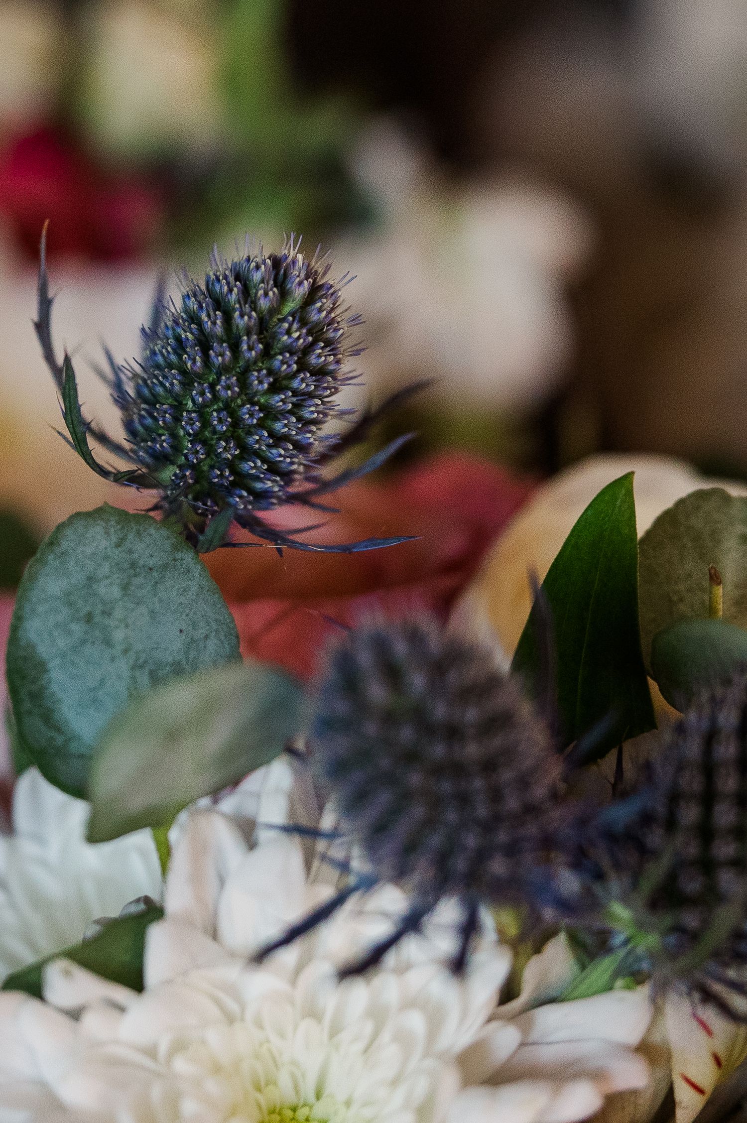 Detailed view of blue thistle flowers and green leaves in a floral arrangement.