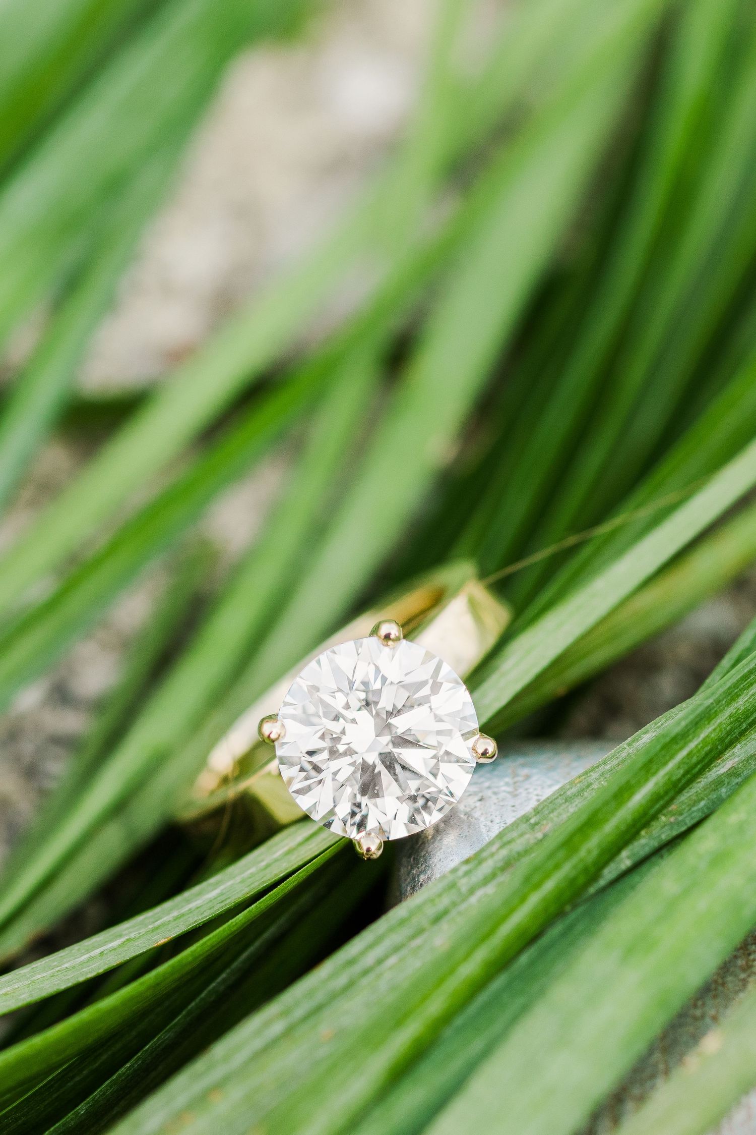 A diamond engagement ring photographed artistically among green grass blades.