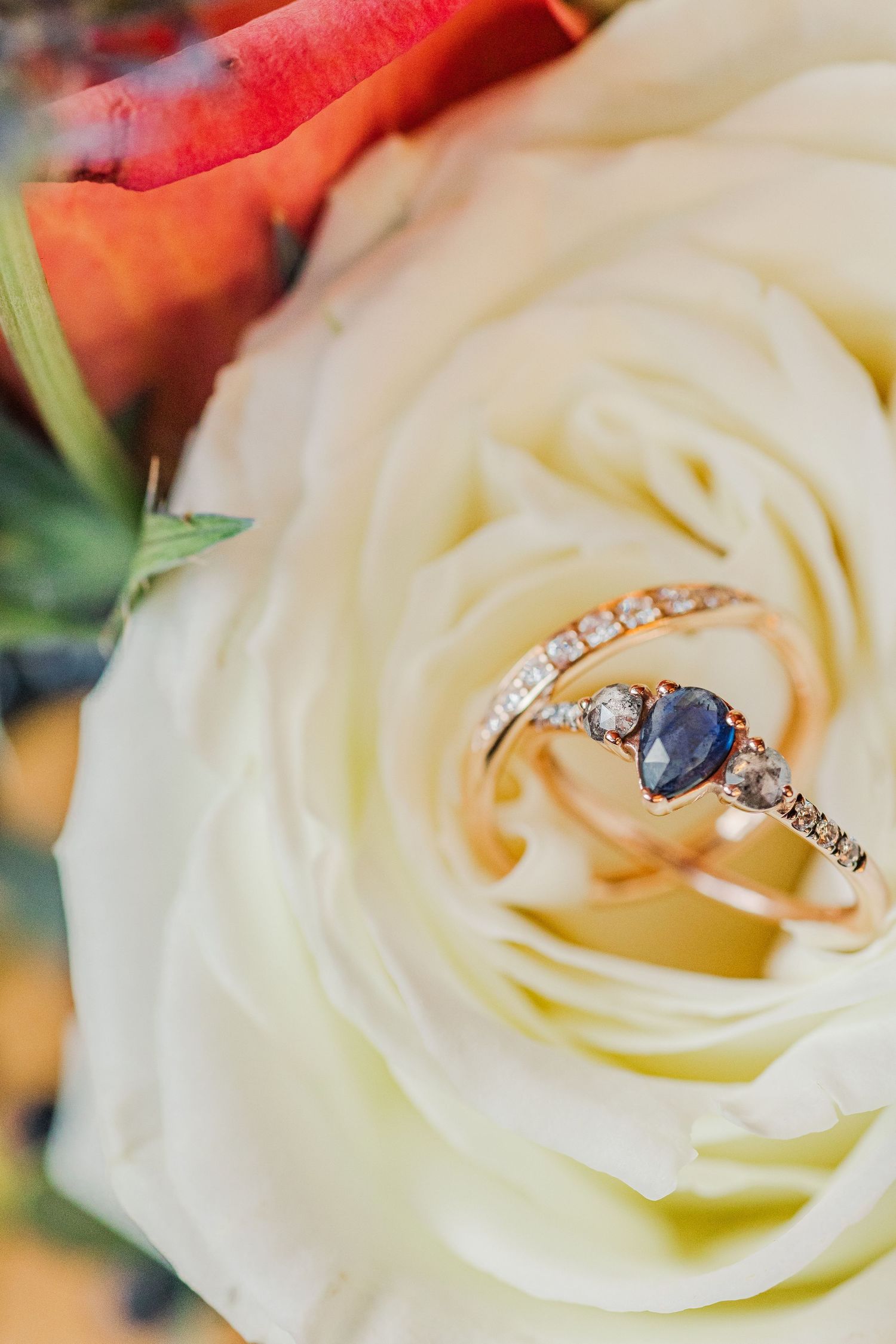 Sapphire engagement ring with diamond accents photographed inside a white rose.
