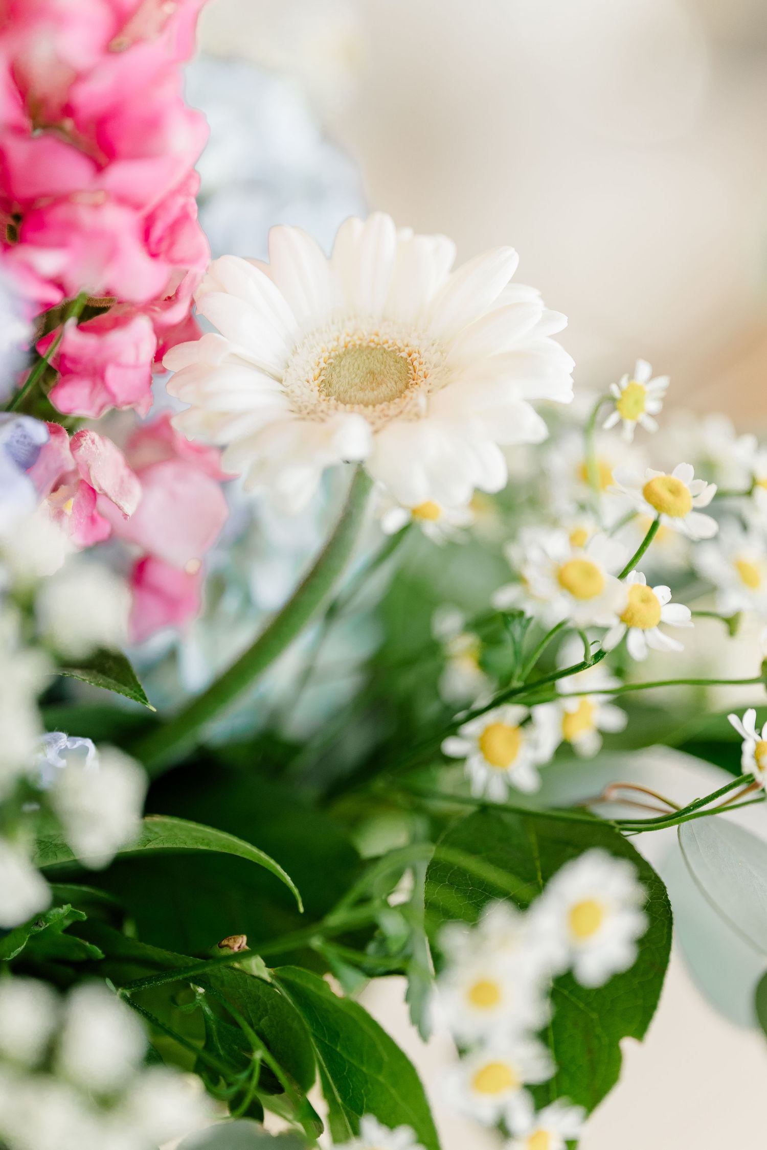 Close-up of a bridal bouquet featuring white gerbera daisies, pink snapdragons, and delicate chamomile flowers.
