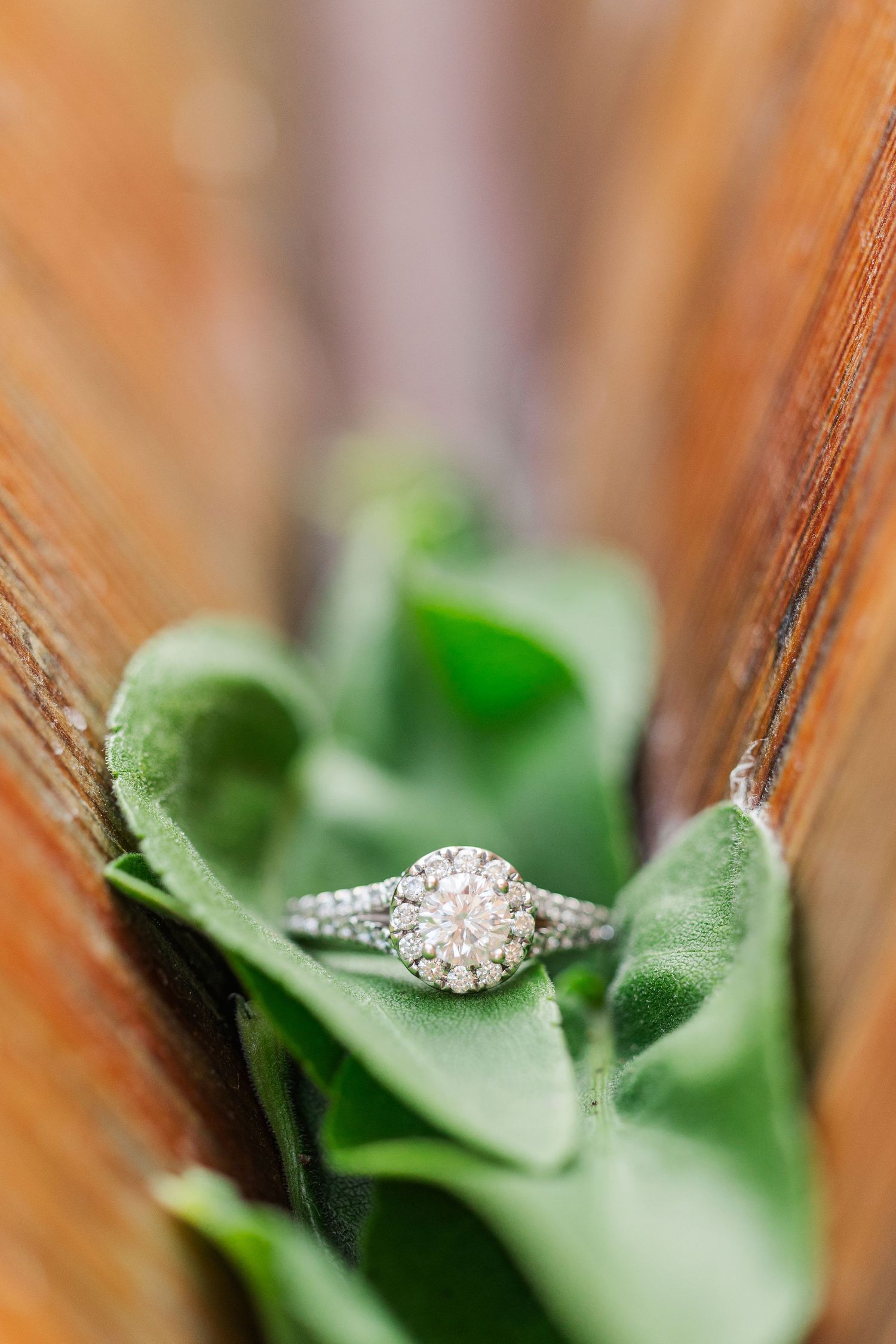 Close up of Elizabeth's engagement ring in the Lincoln Park Honeycomb Pavillion in Chicago