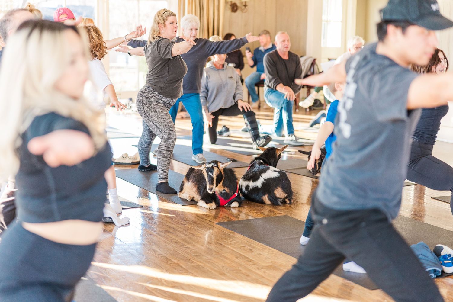 Energetic group fitness class in progress with participants moving in a sunlit studio.