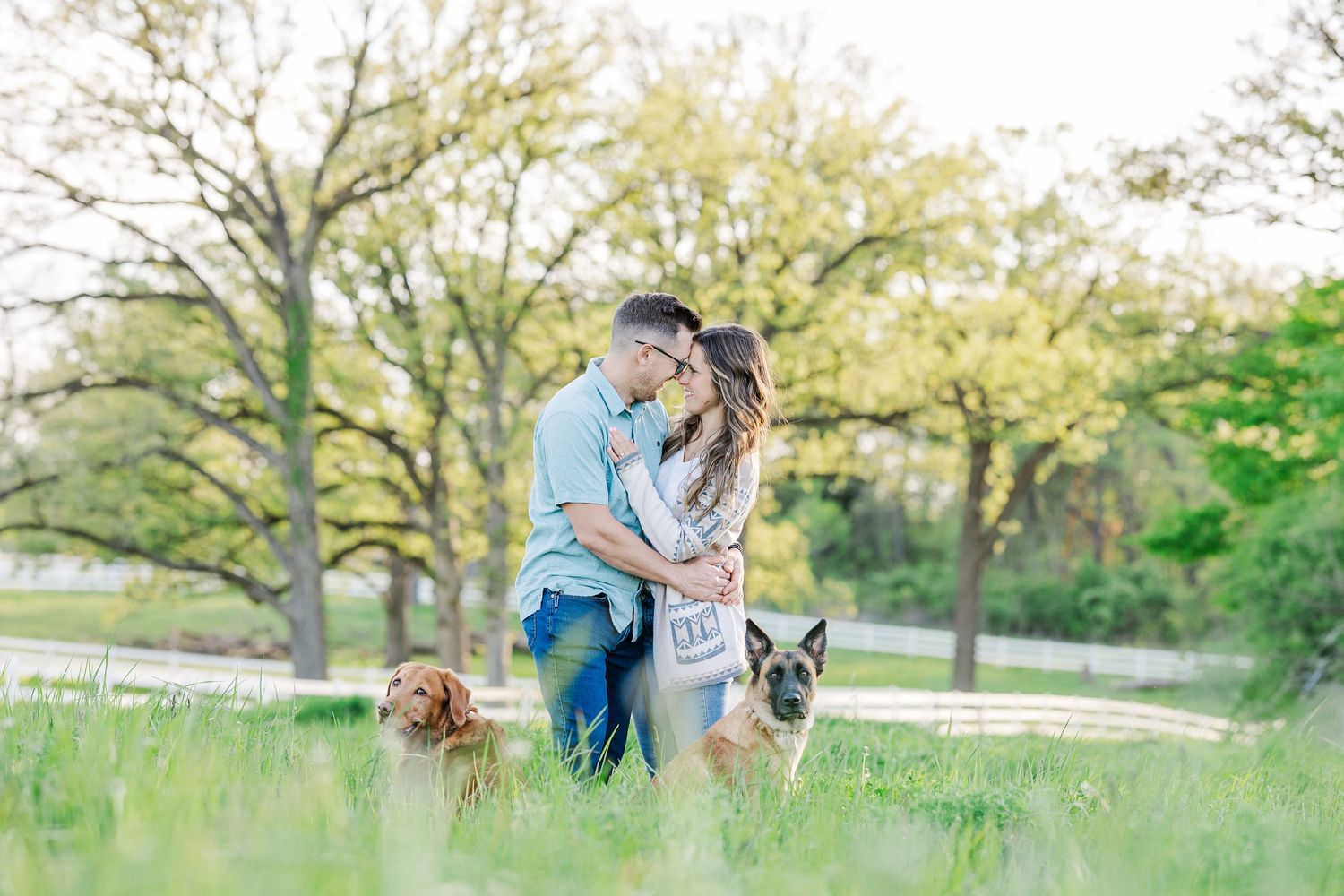 Engaged couple kissing in the field with their dogs at St. James Farm Preserve