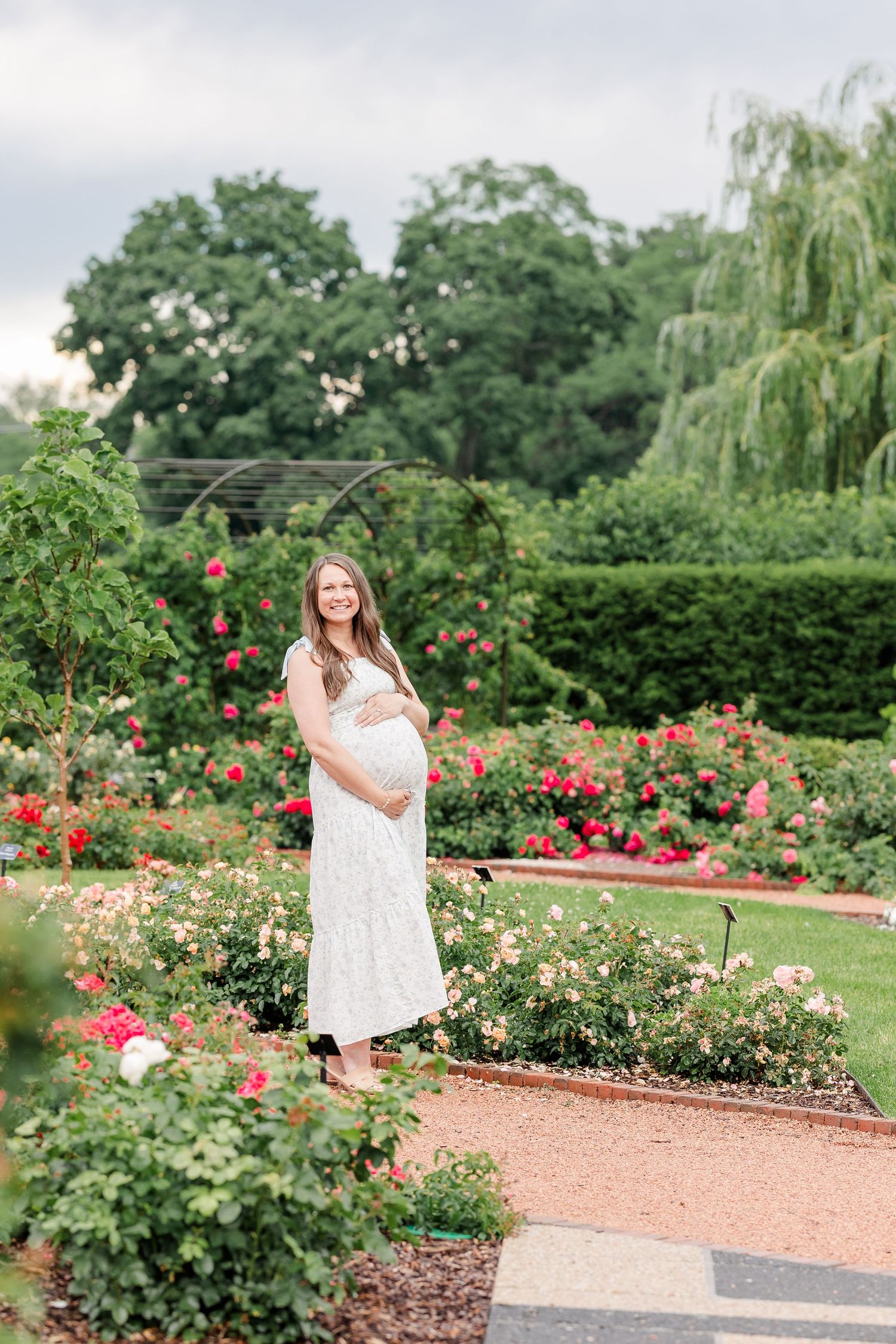 Expecting mother standing in the rose garden during a Cantigny Park maternity session