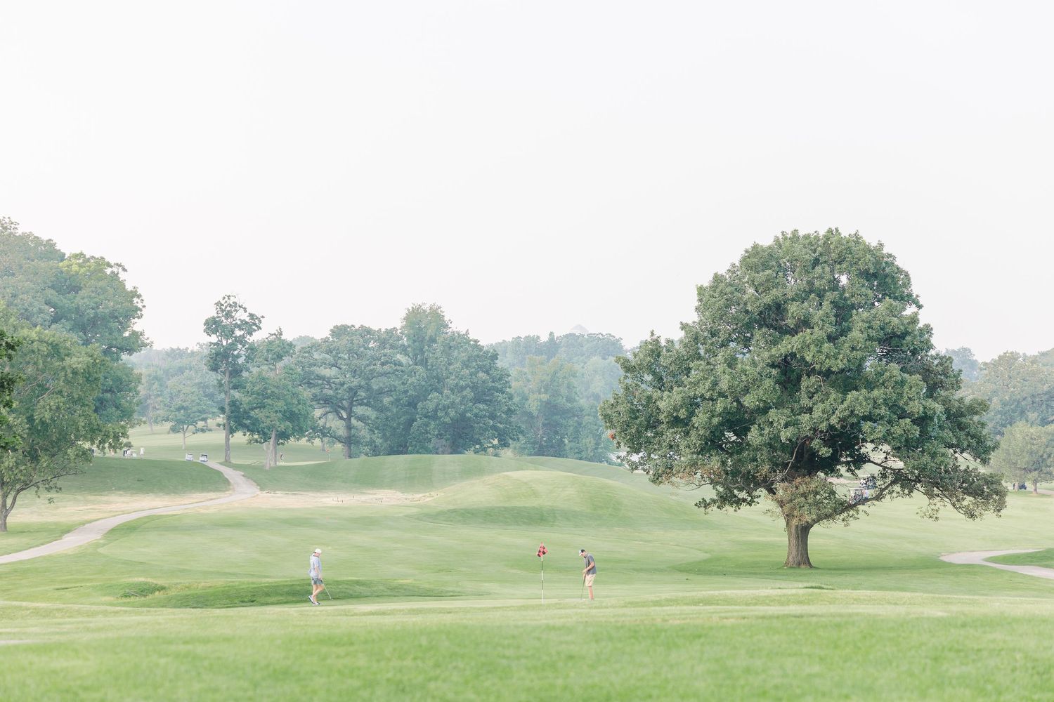 Two figures walk across a lush green golf course surrounded by tall trees.