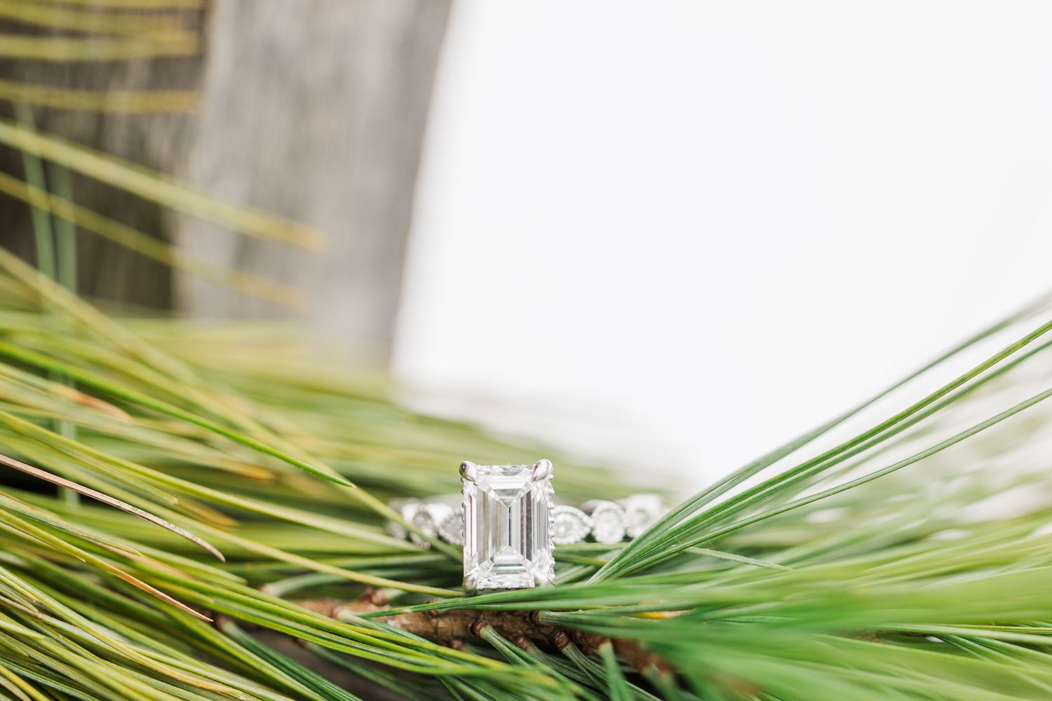 An elegant emerald-cut diamond engagement ring nestled among green pine needles in soft light.