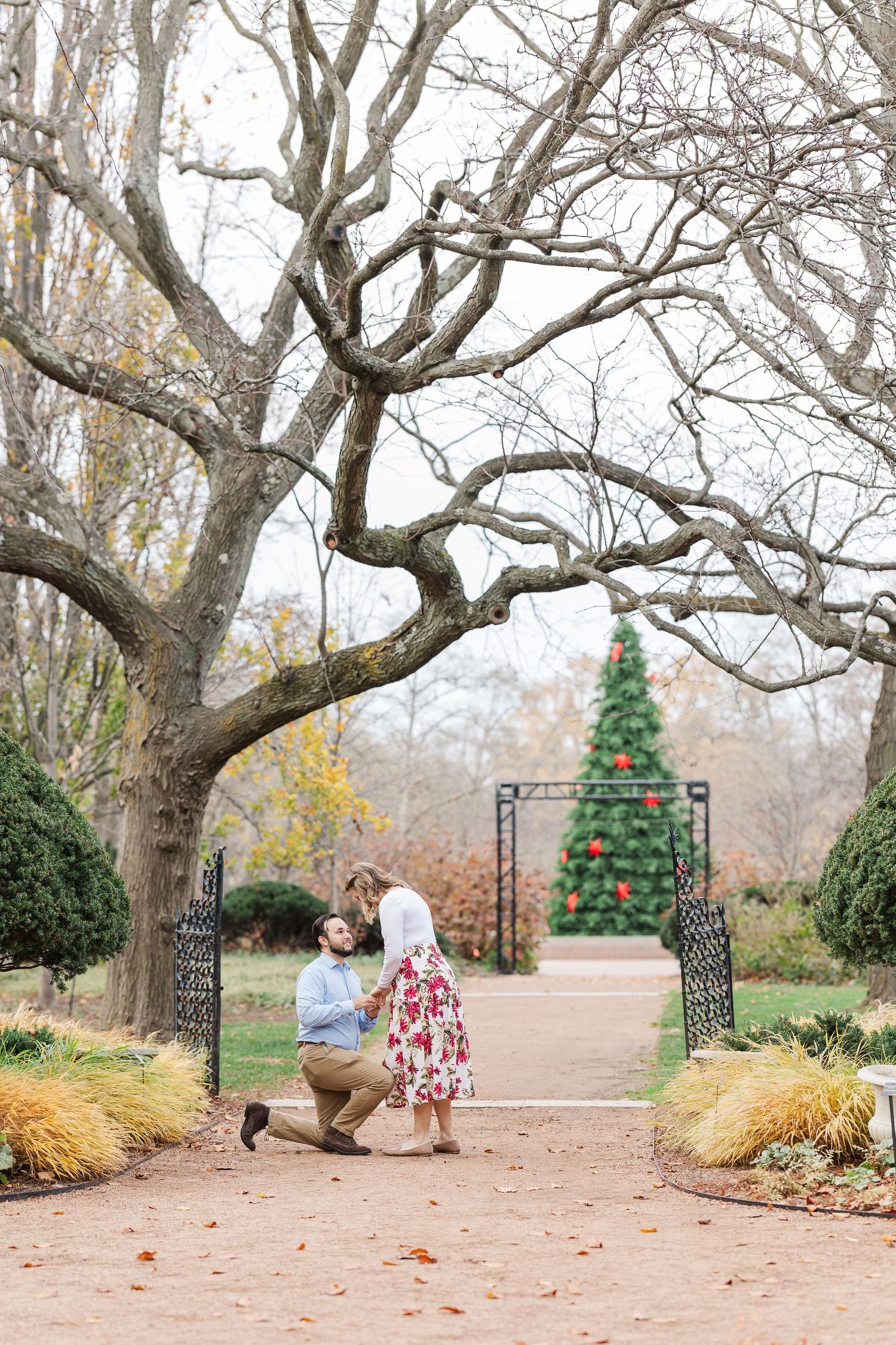 Man proposes to woman in the Keyhole Garden at Cantigny Park in Wheaton, IL