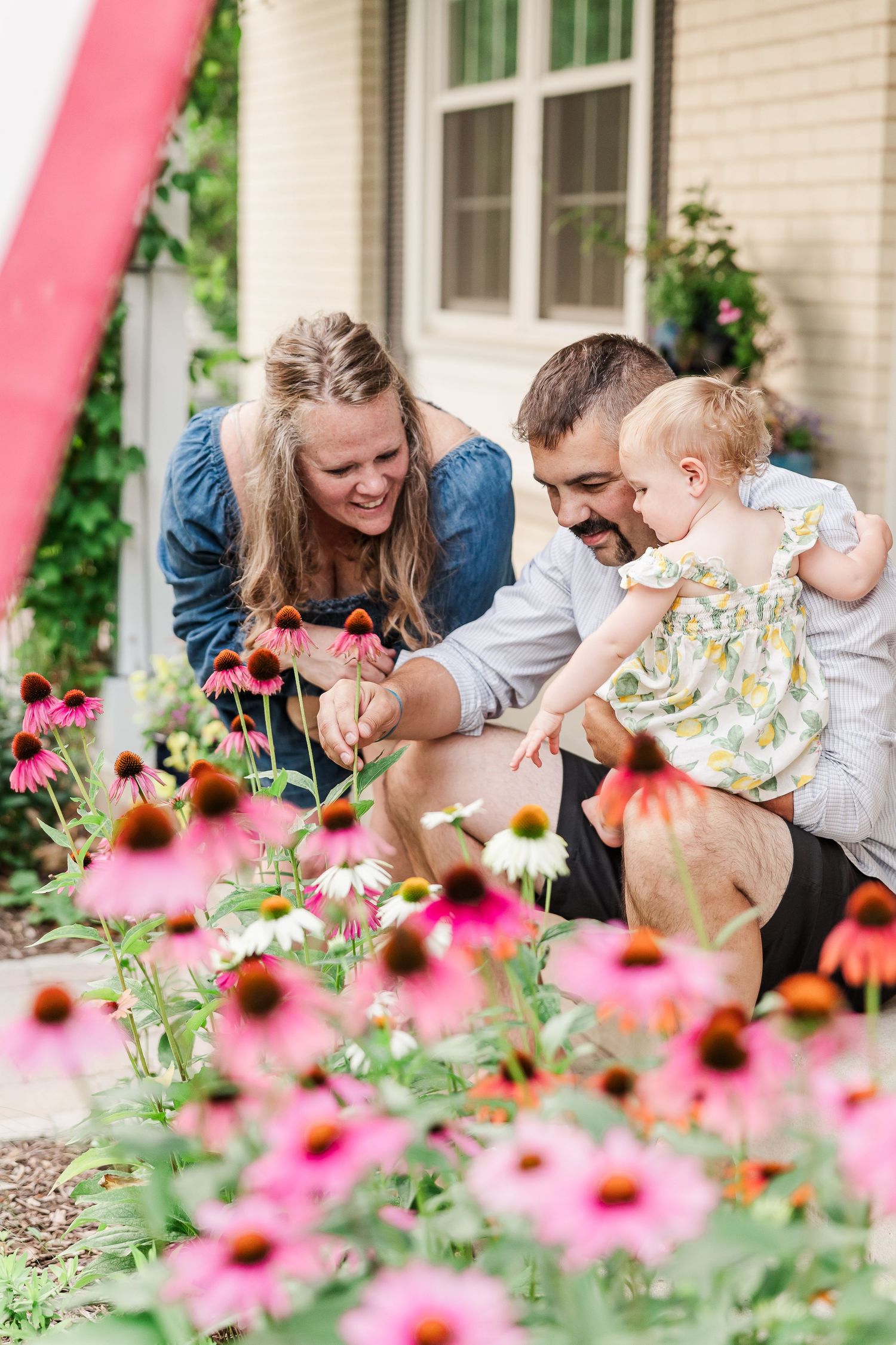 Family exploring colorful echinacea flowers in a summer garden.
