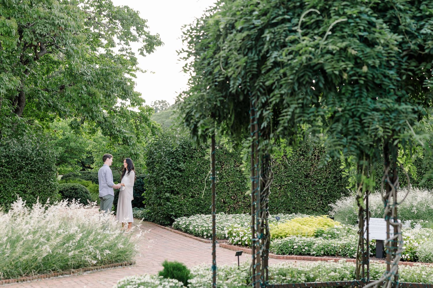 Jack proposes to Alysia beneath the garden arch in Cantigny Park’s Octagon Garden.