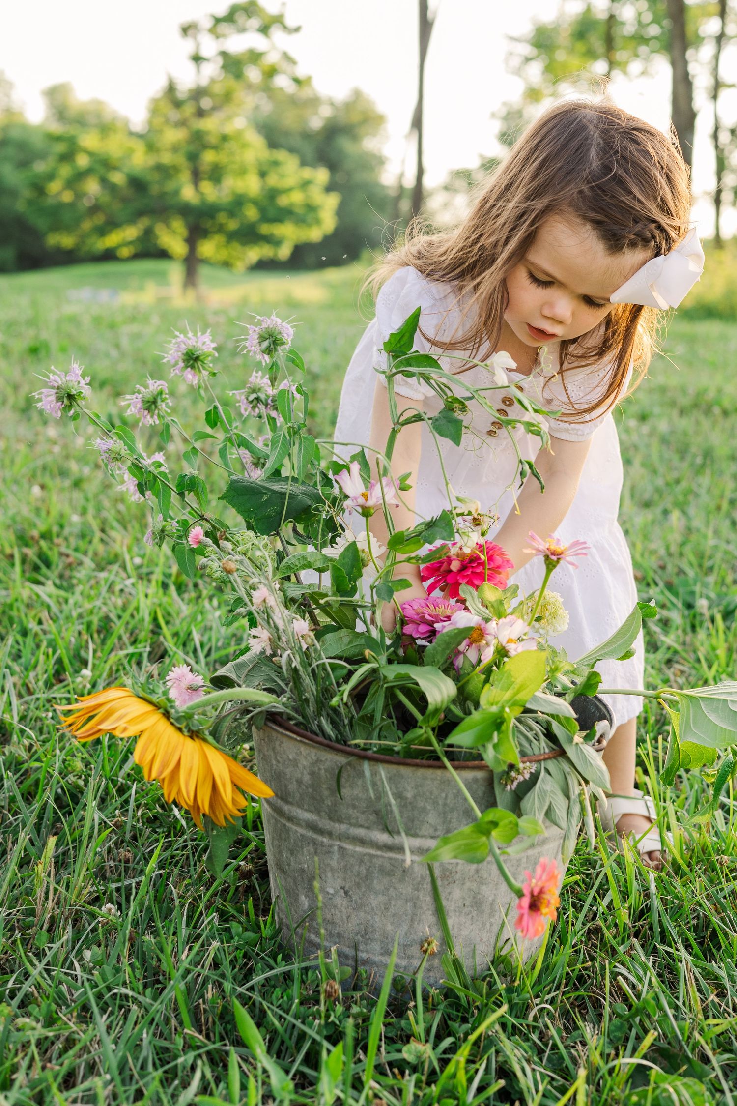 A young child in white examines flowers in a metal bucket outdoors on a sunny day in a grassy field.
