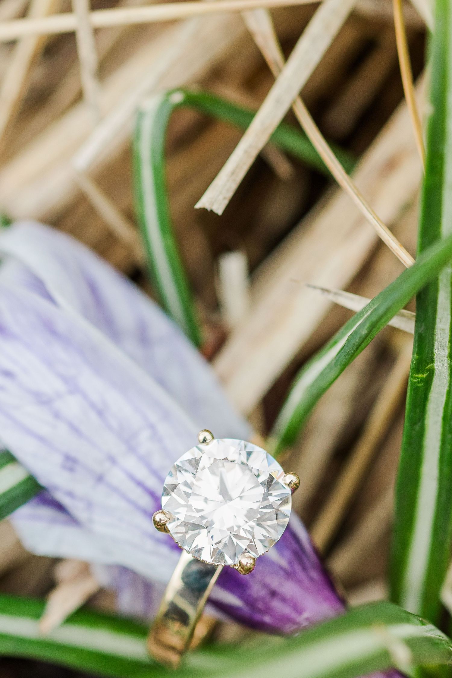 Close-up of a diamond solitaire ring with purple flower petals and grass in the background.