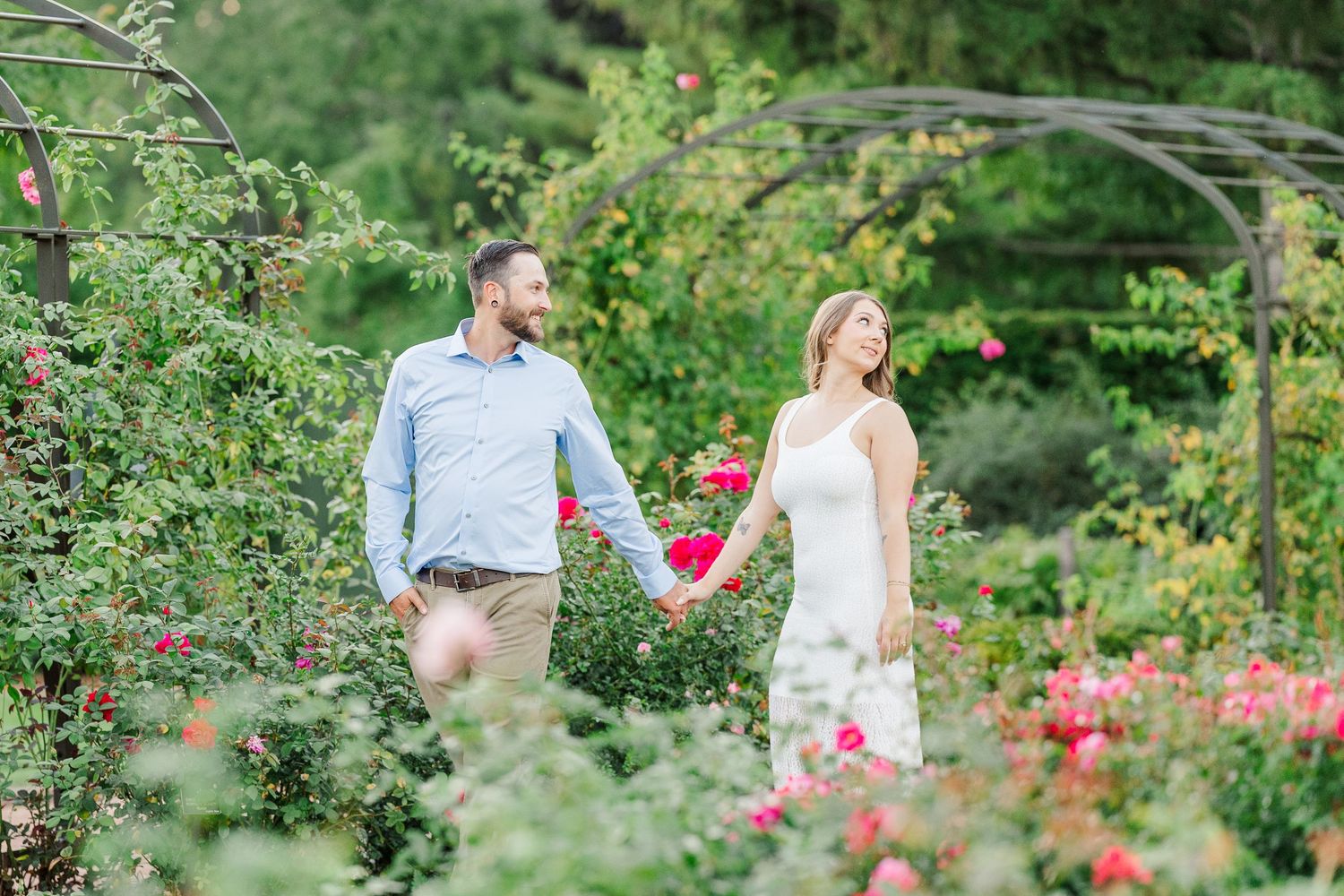 Couple walking through rose garden during engagement photos at Cantigny Park in Wheaton, Illinois