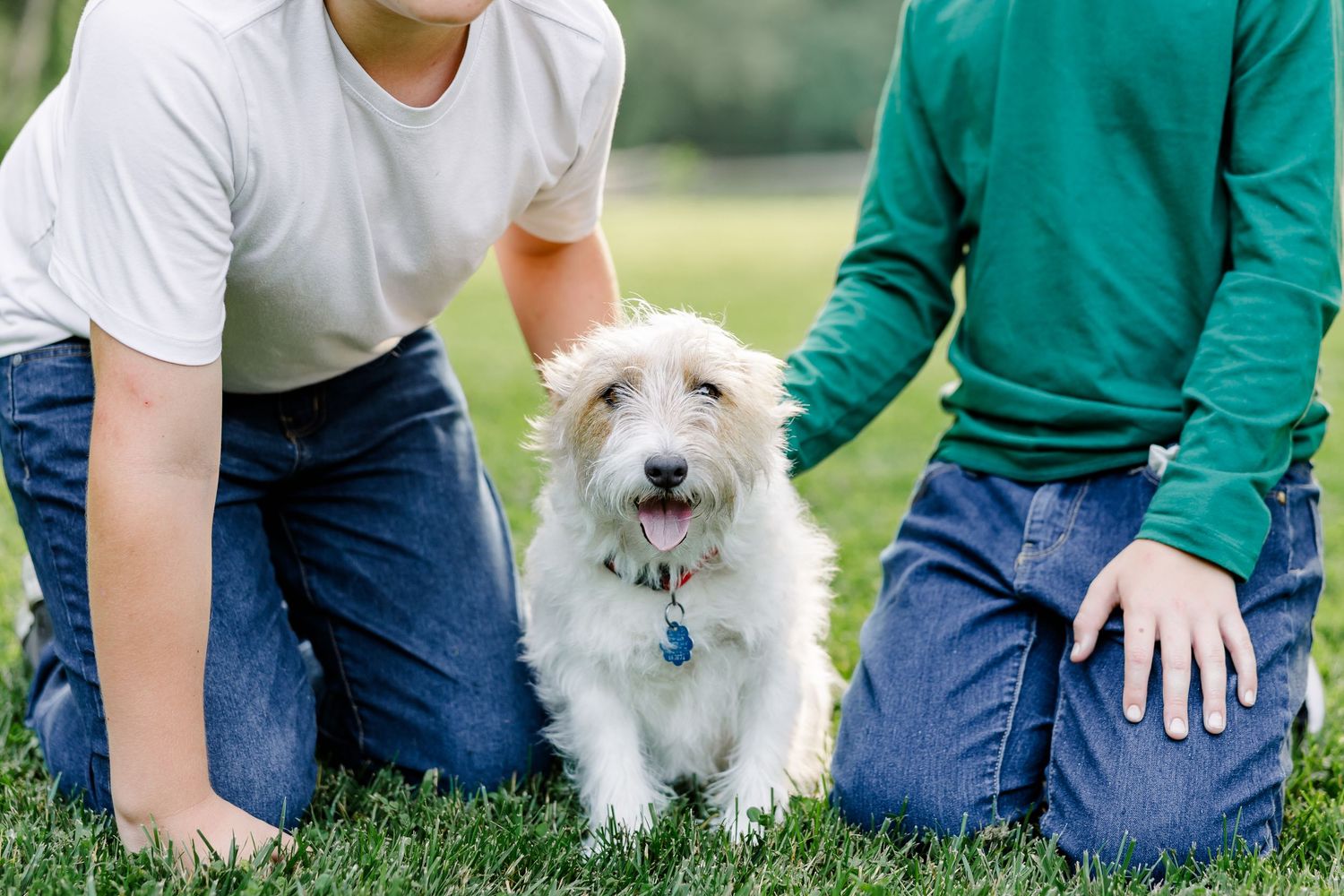 Family dog sitting with two boys during an outdoor family session.