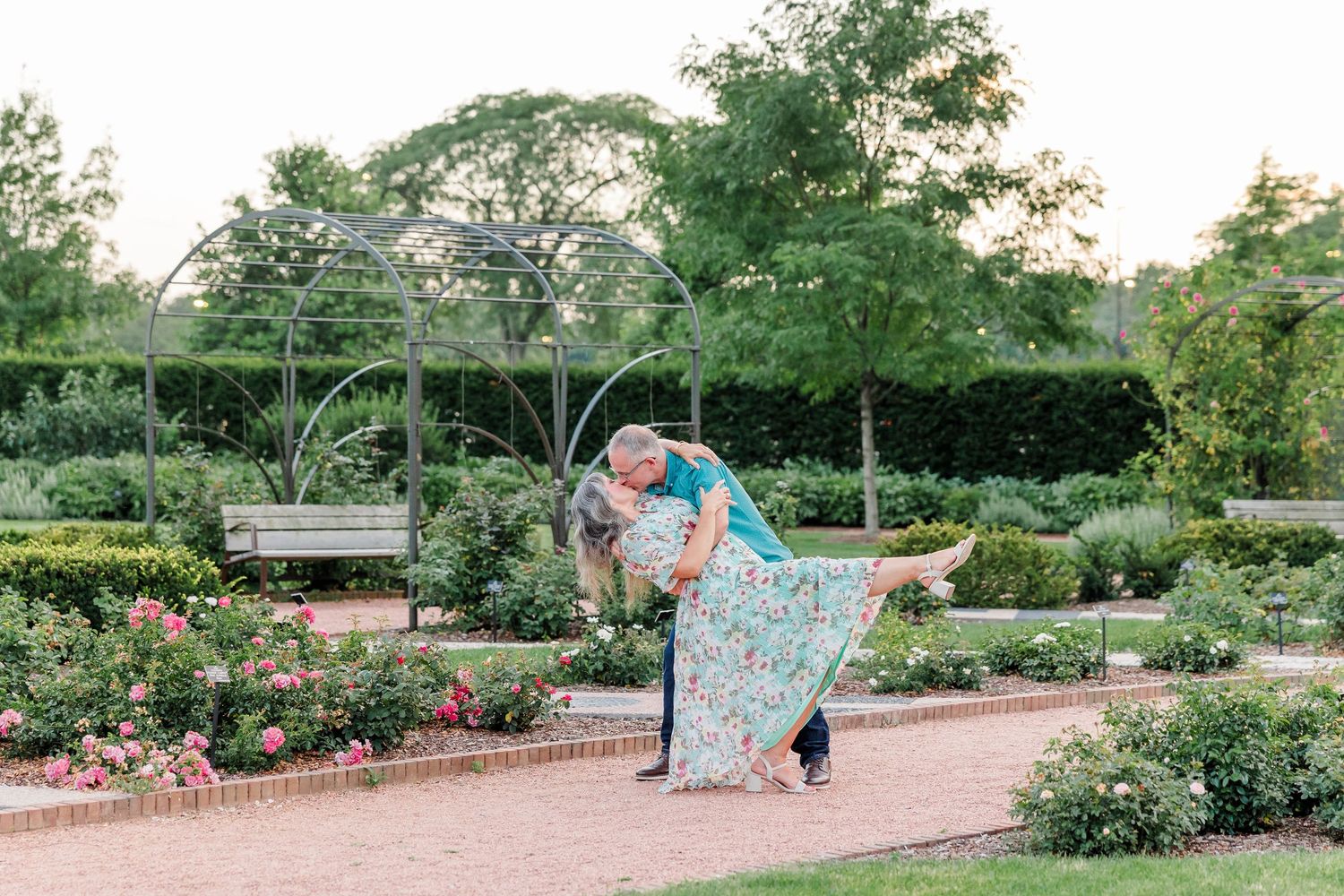Couple sharing romantic dip pose in lush rose garden with green arbor backdrop at dusk.