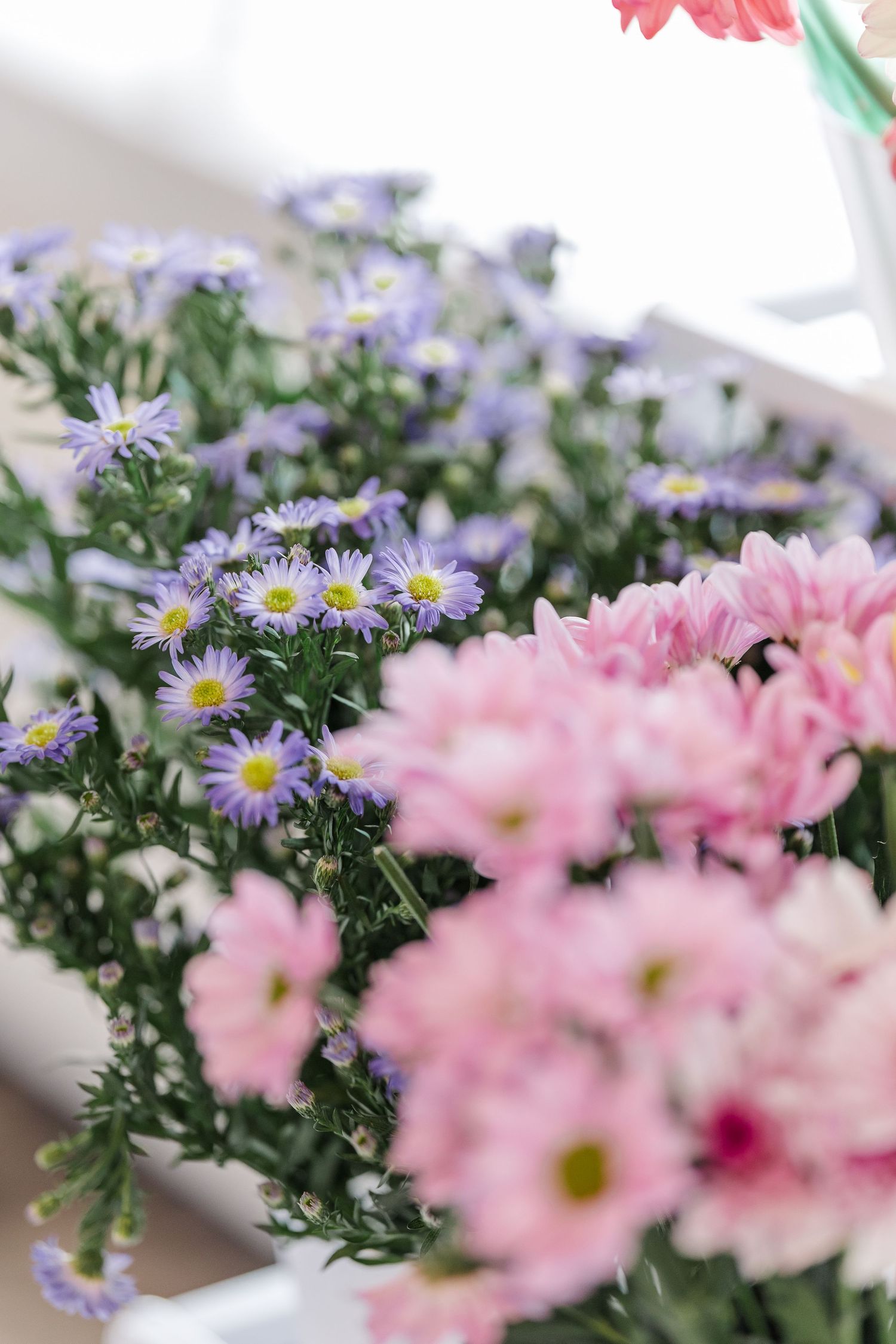 Soft pink chrysanthemums and purple aster daisy flowers in a white container with green foliage.