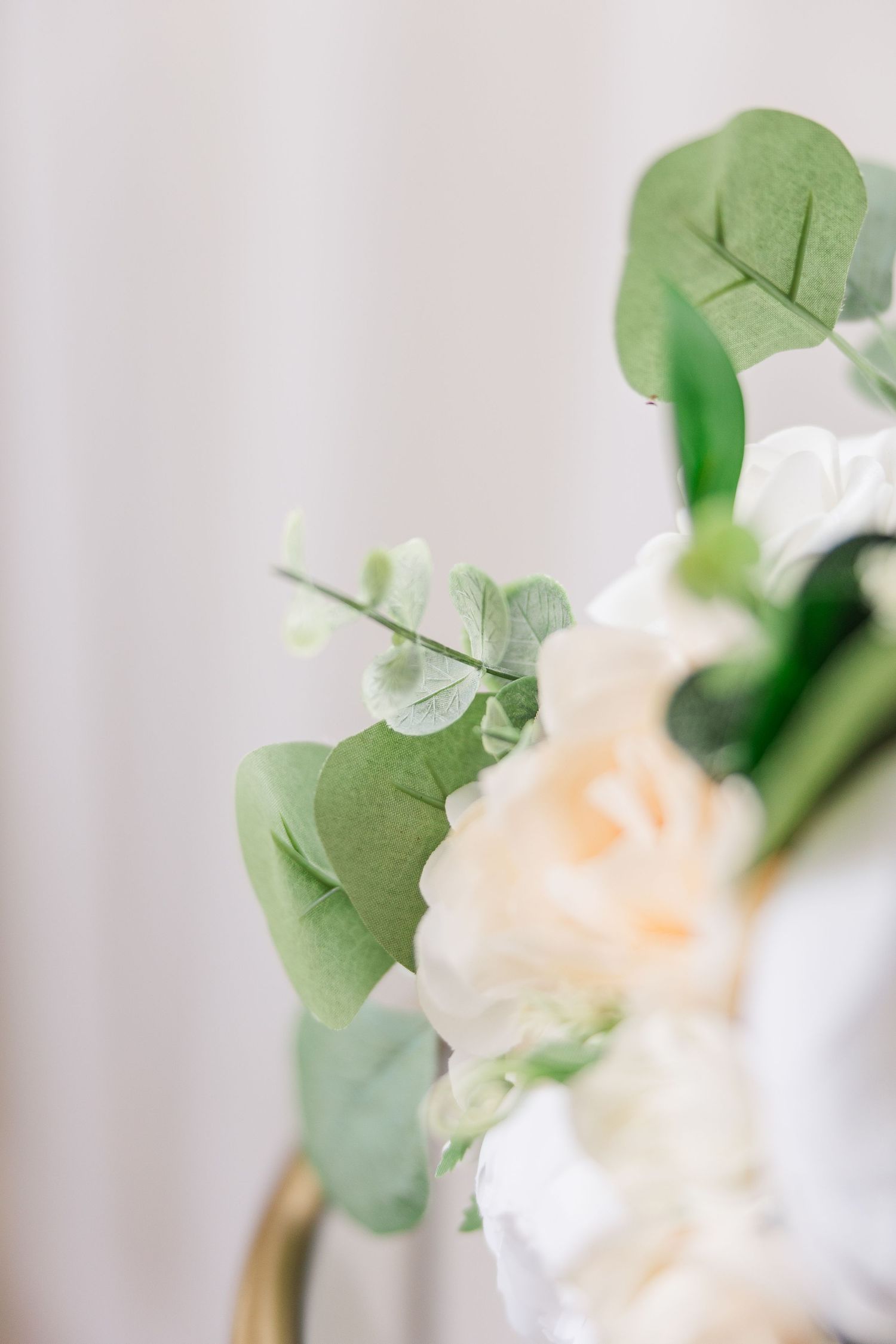 Soft focus image of cream roses and eucalyptus leaves against white background.