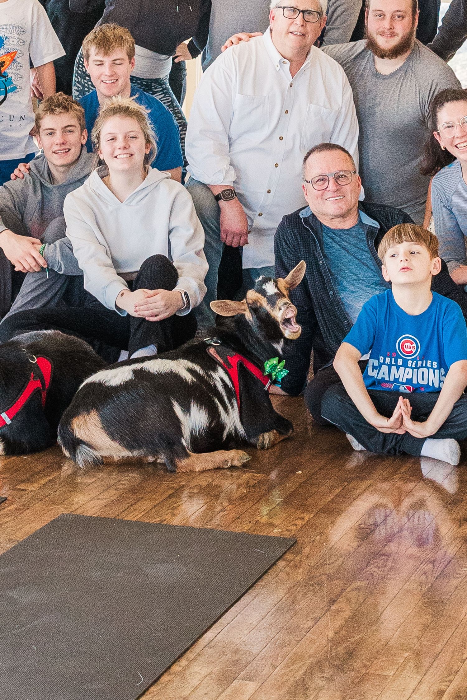 A group gathers on a wooden floor with a black and white goat lying down in the foreground.
