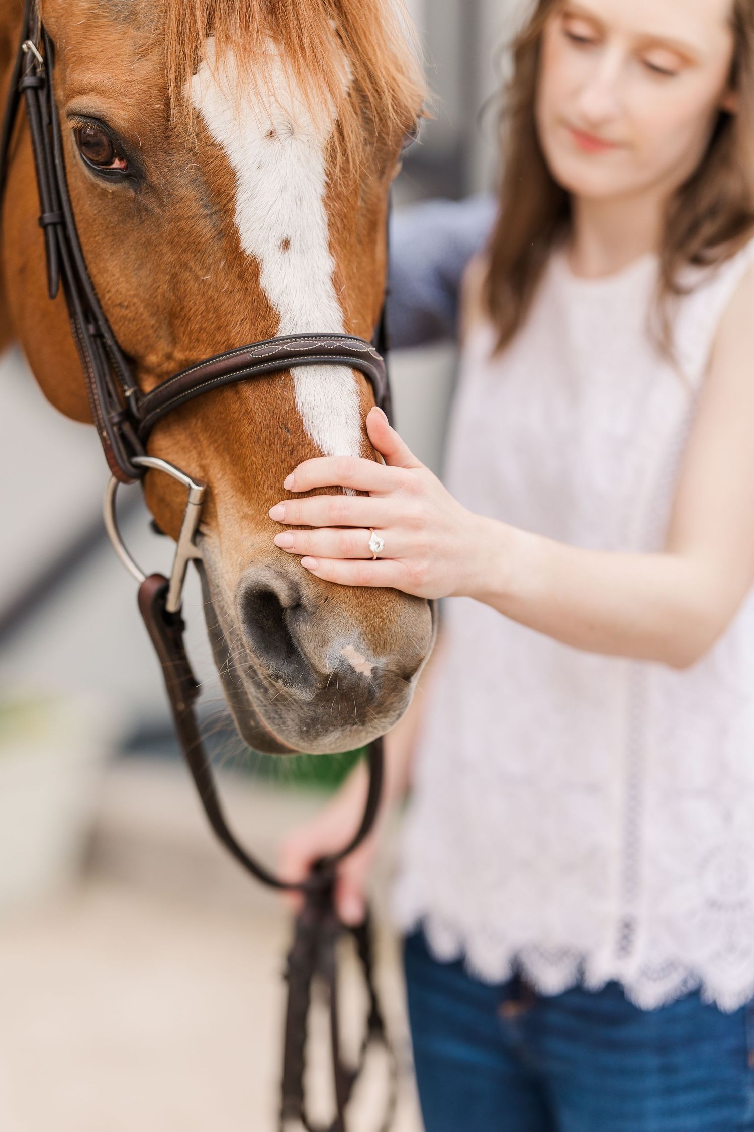 Close-up of a chestnut horse's face being gently touched by someone wearing a lace top.