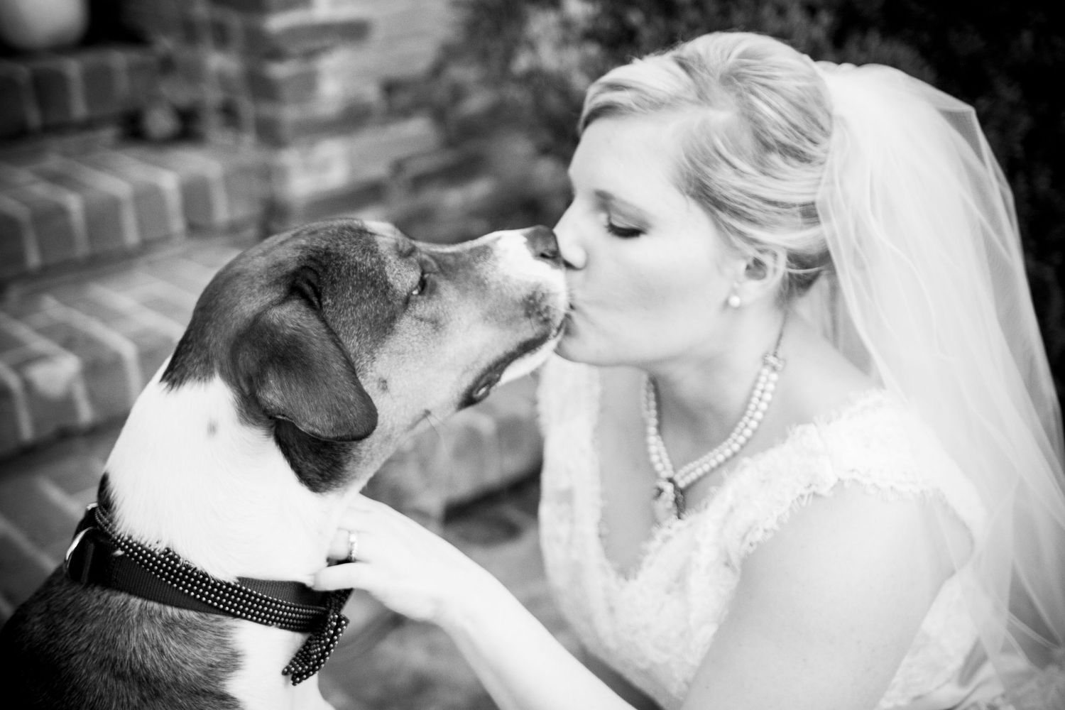 Black and white portrait of bride sharing sweet moment with dog.