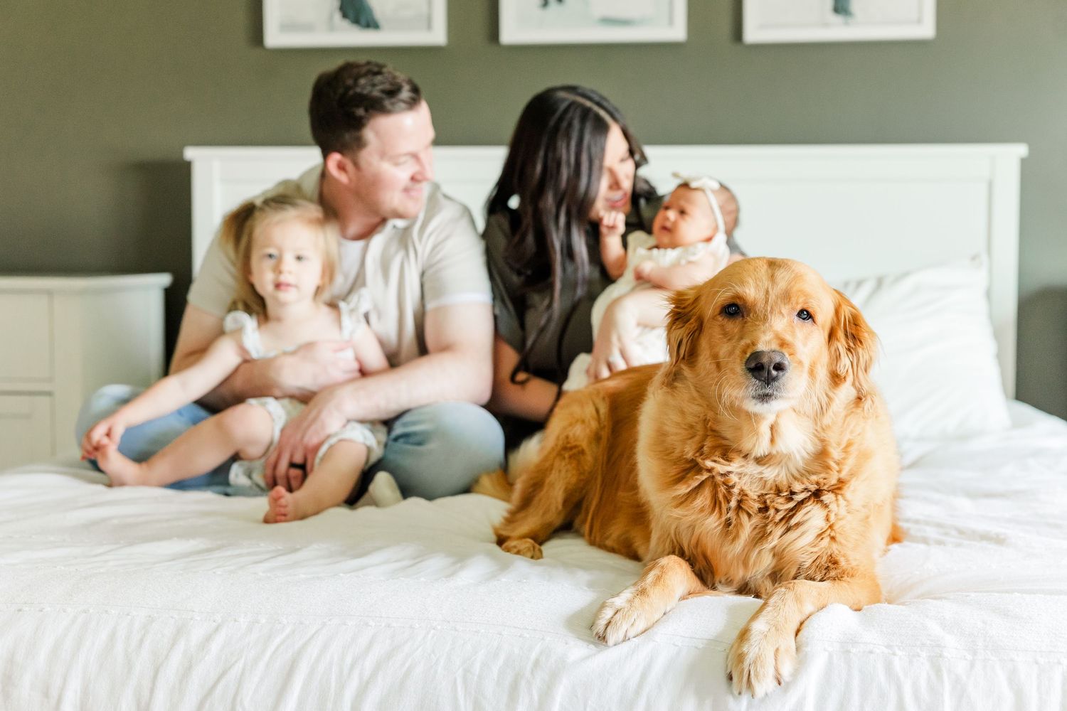 Lifestyle newborn photo with parents, big sister, newborn baby girl, and golden retriever together on the bed