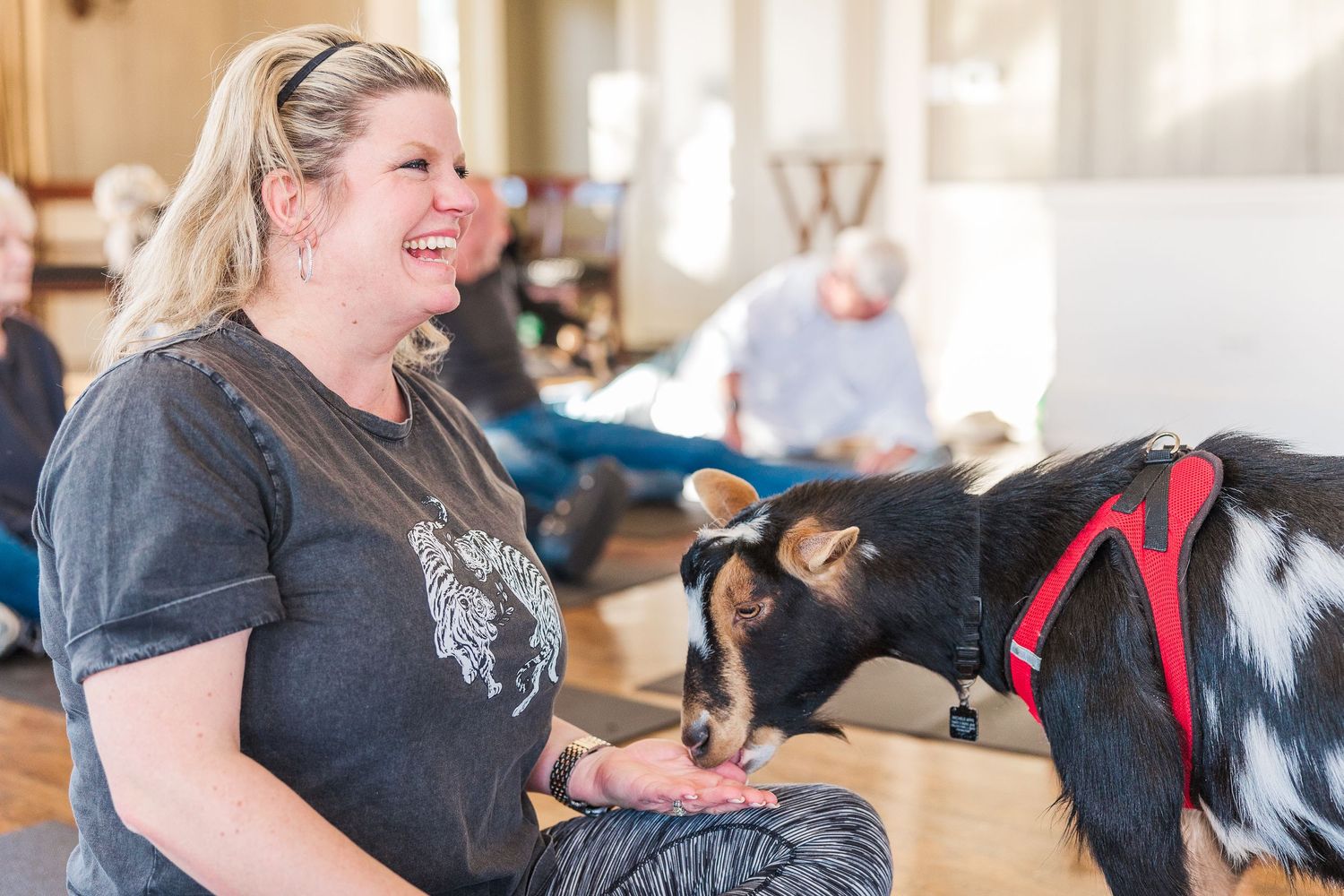 A smiling participant pets a goat wearing a red harness during a goat yoga class.